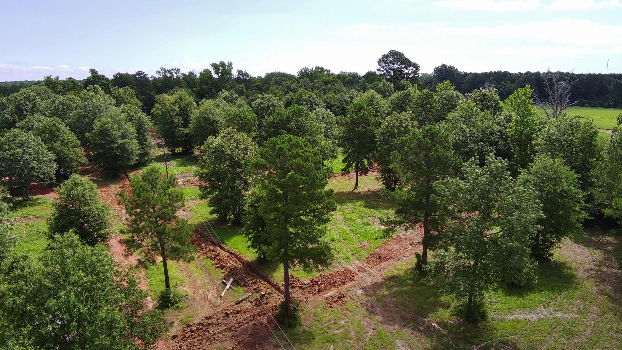 Trinity Acres RV And Tiny home