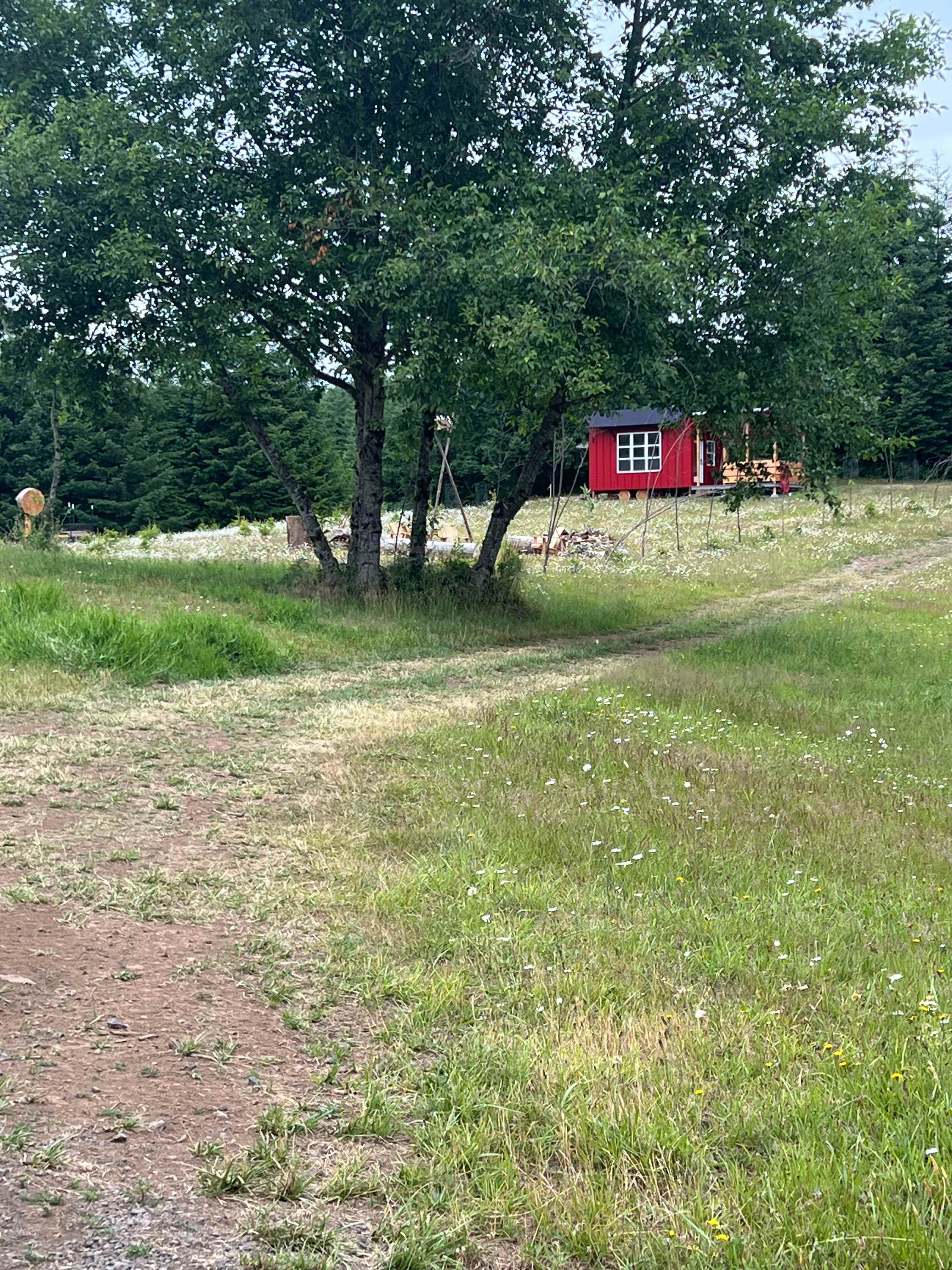 Acme Acres