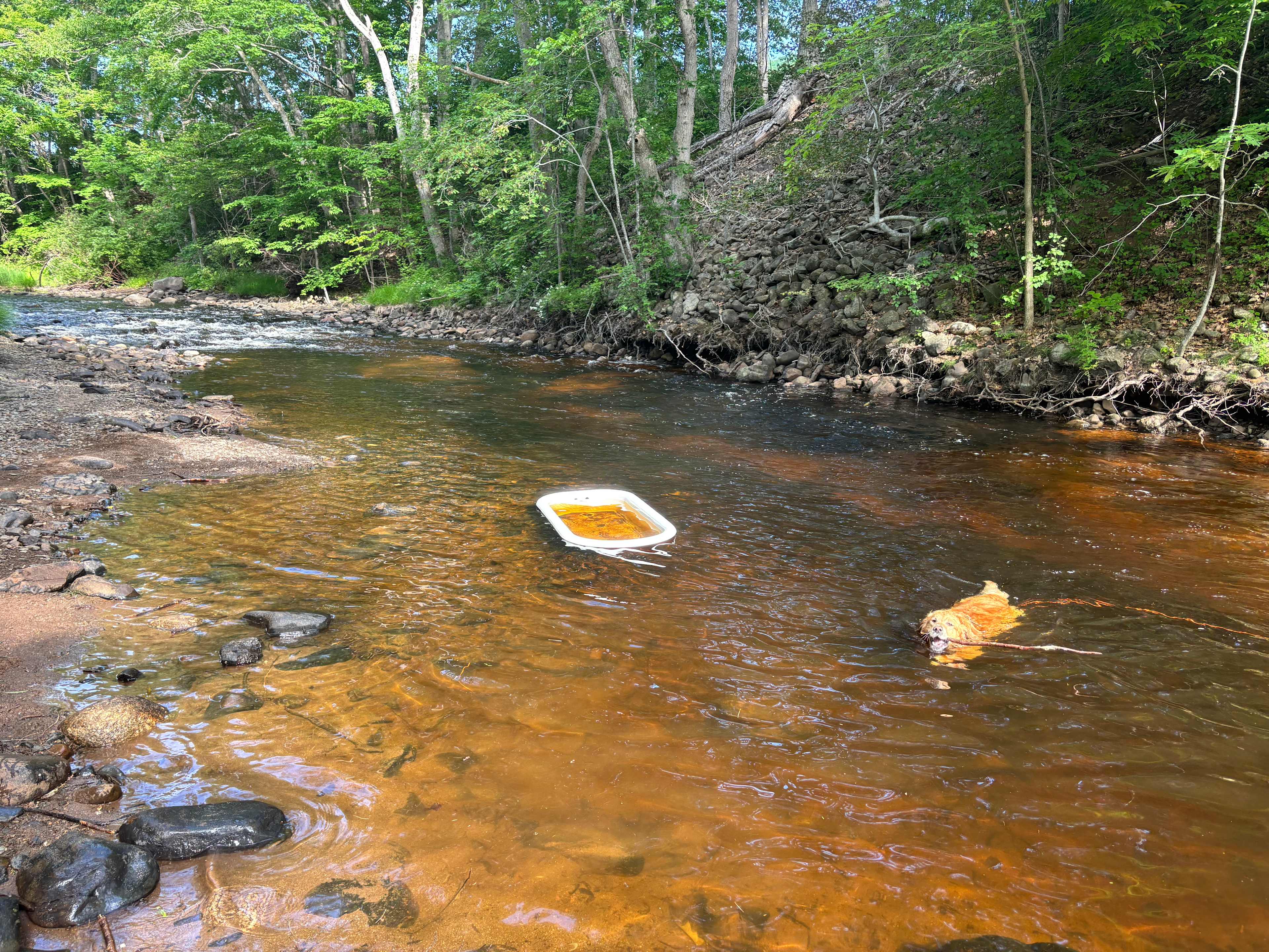 Gaspereau River Hipcamp