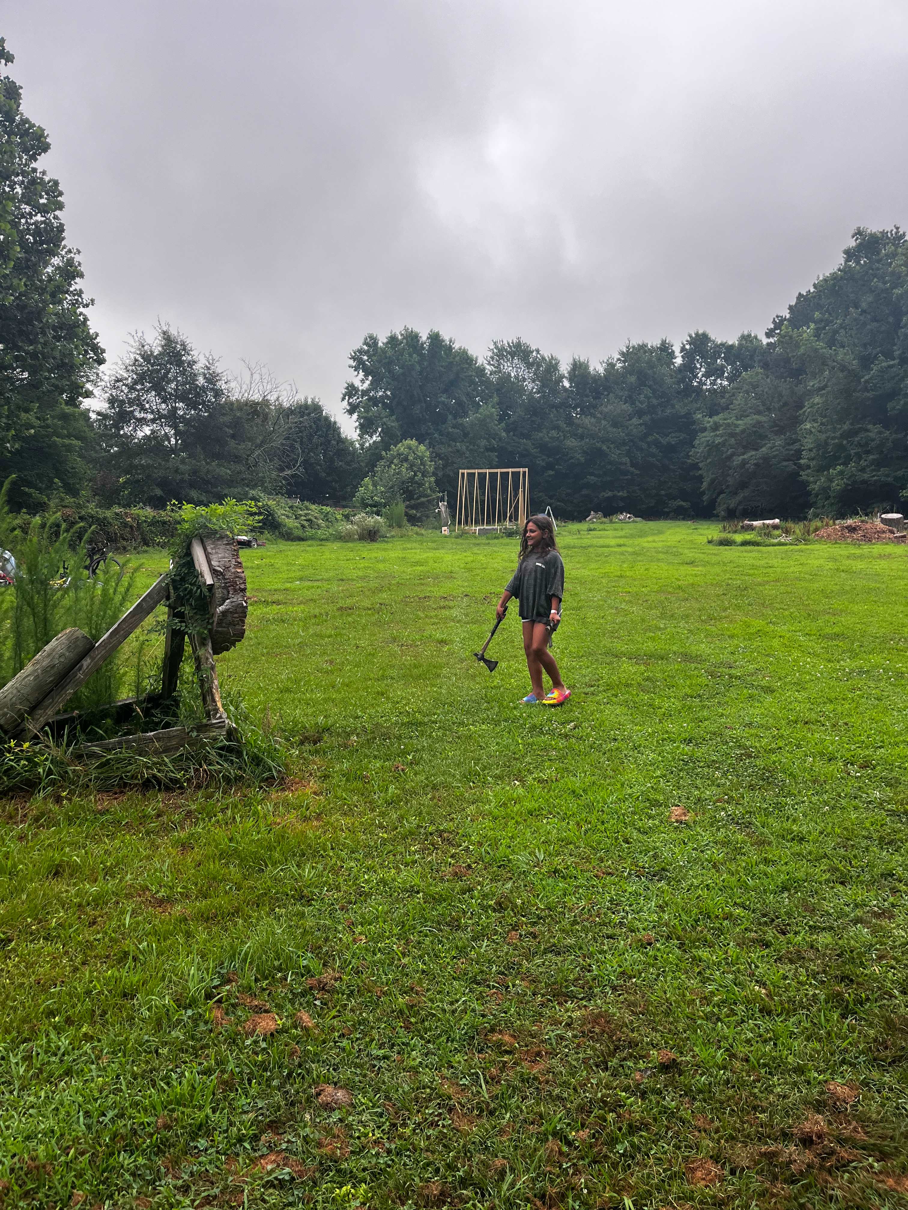 The Guinea Farm, Field, and Forest