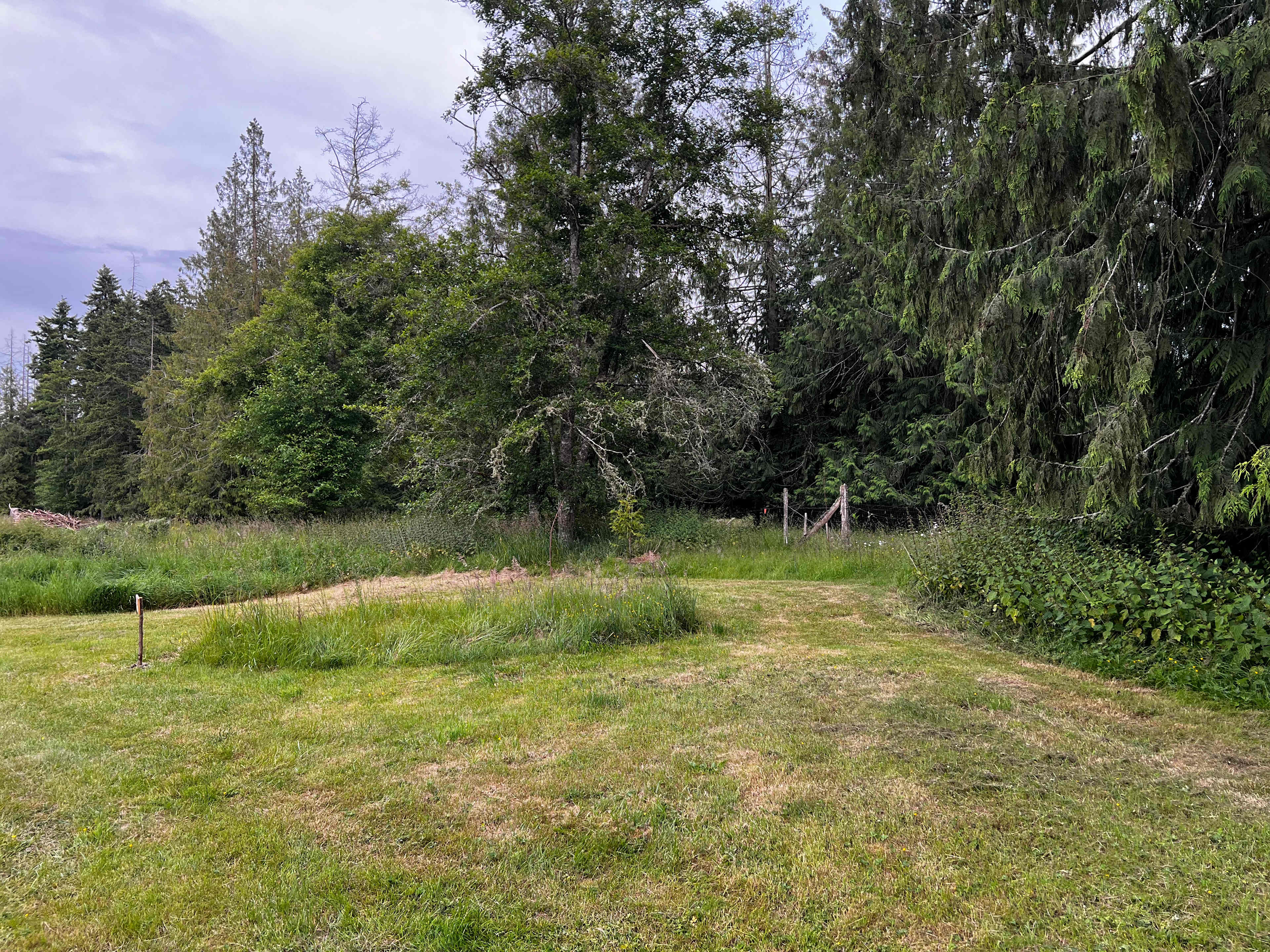 Solstice Campground