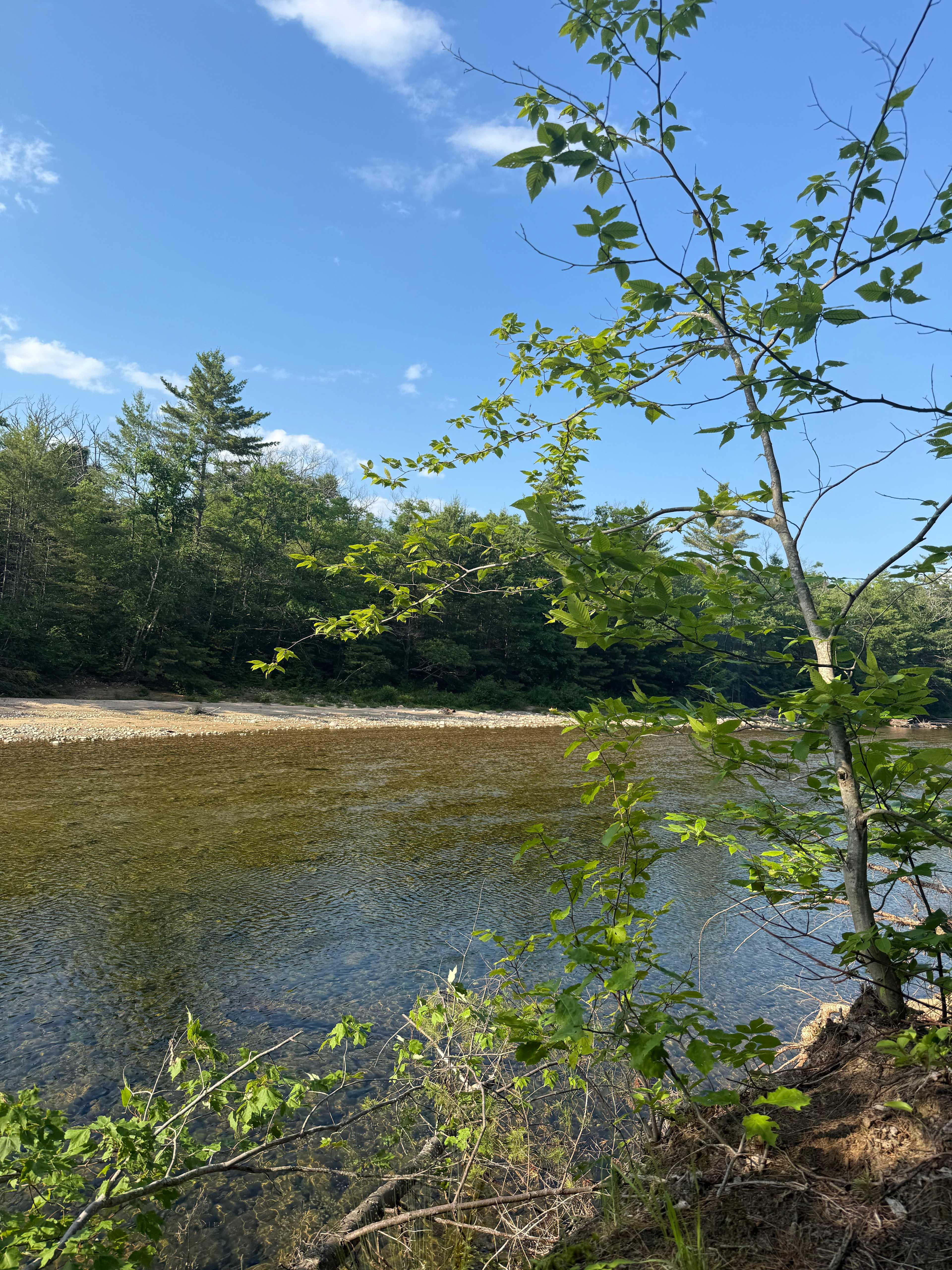 Private Riverfront Retreat