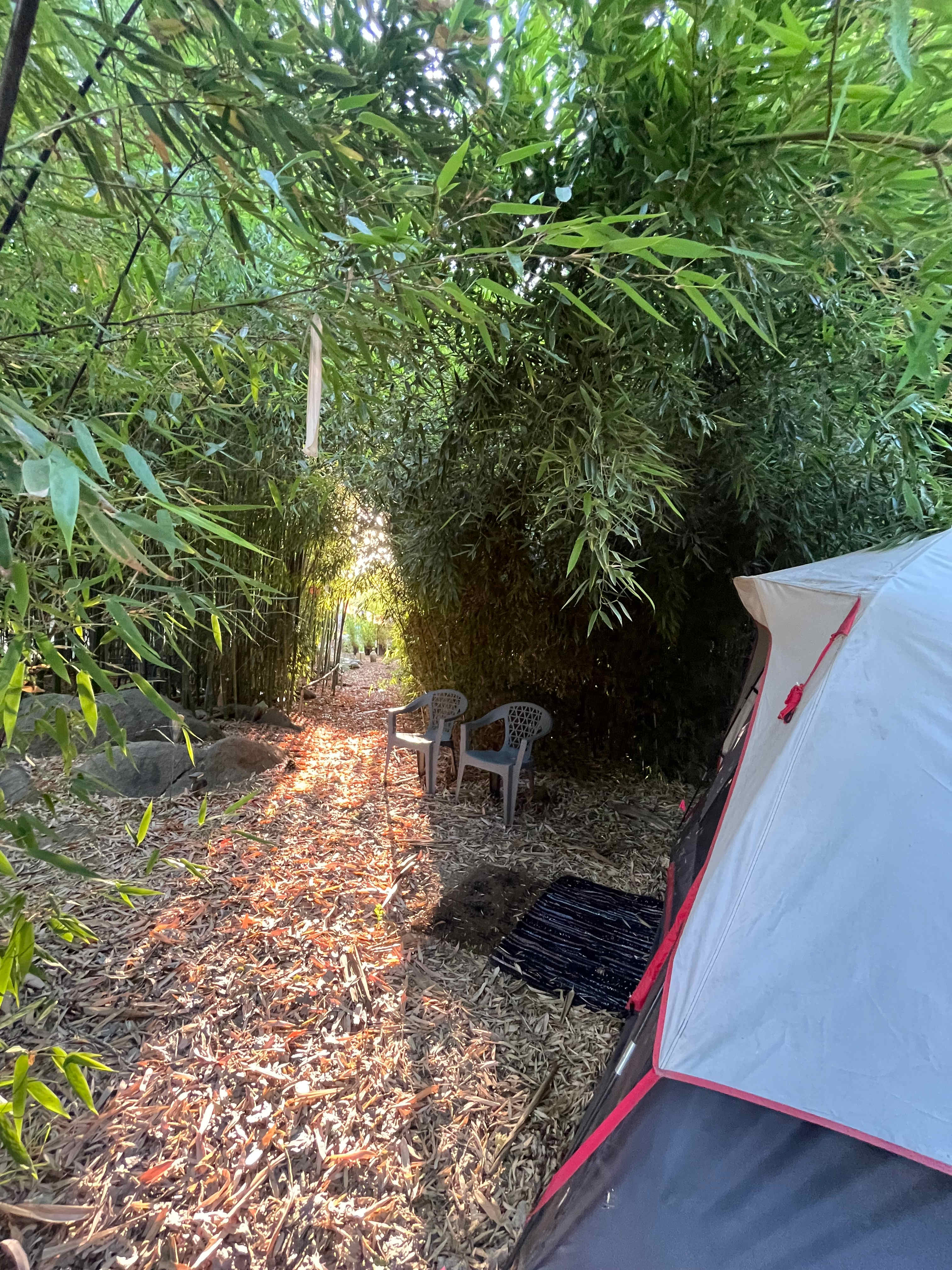 Zen Camp/Bamboo Retreat