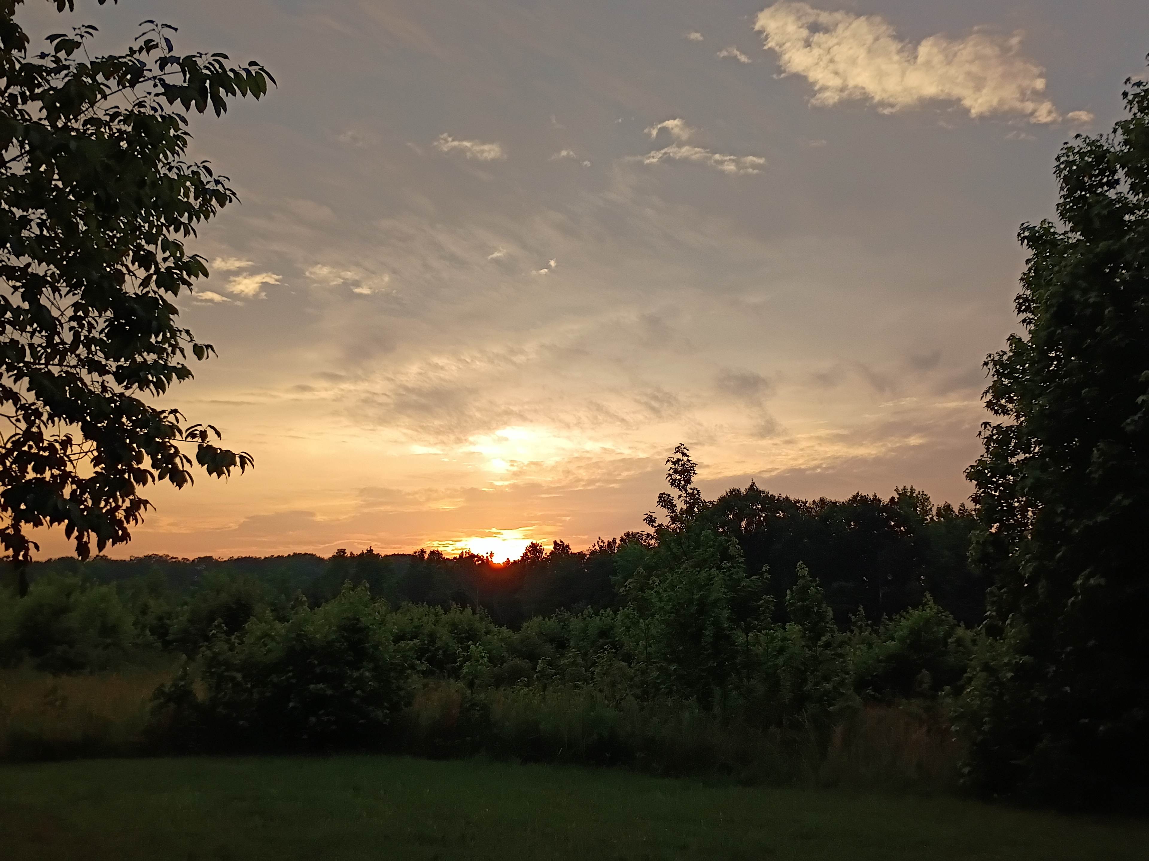 Highway 417 Acres