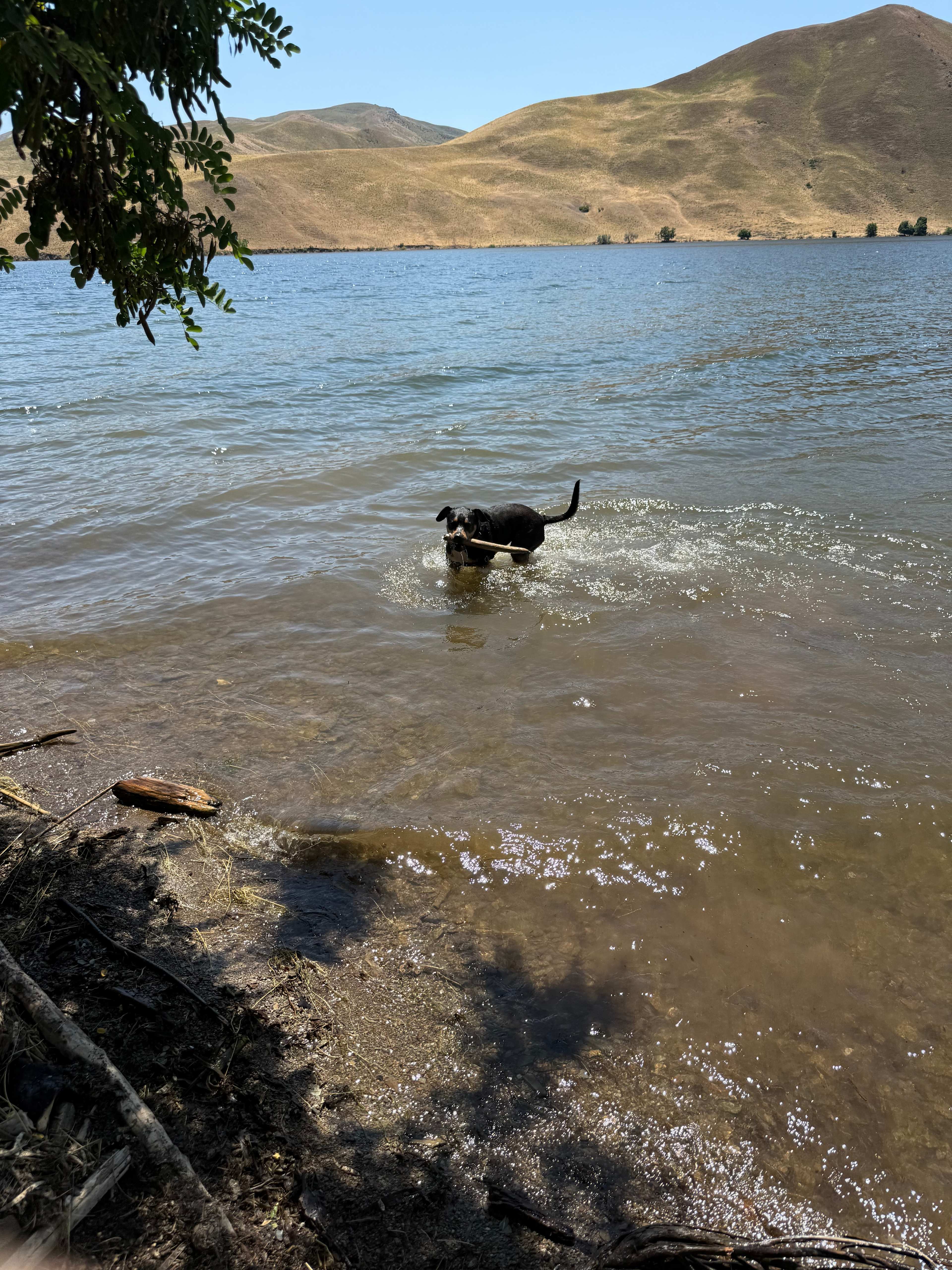 Waterfront RV camping brownlee