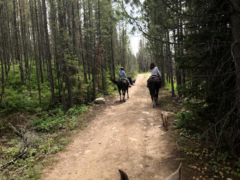 Tetons in Tetonia