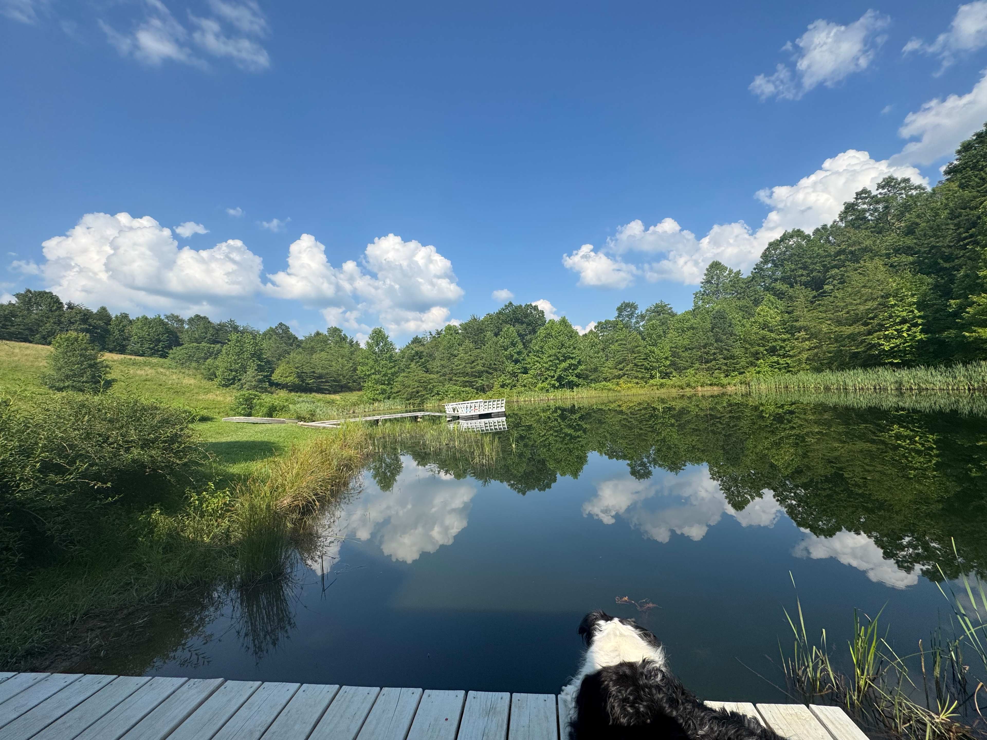 The Harrican Lakehouse