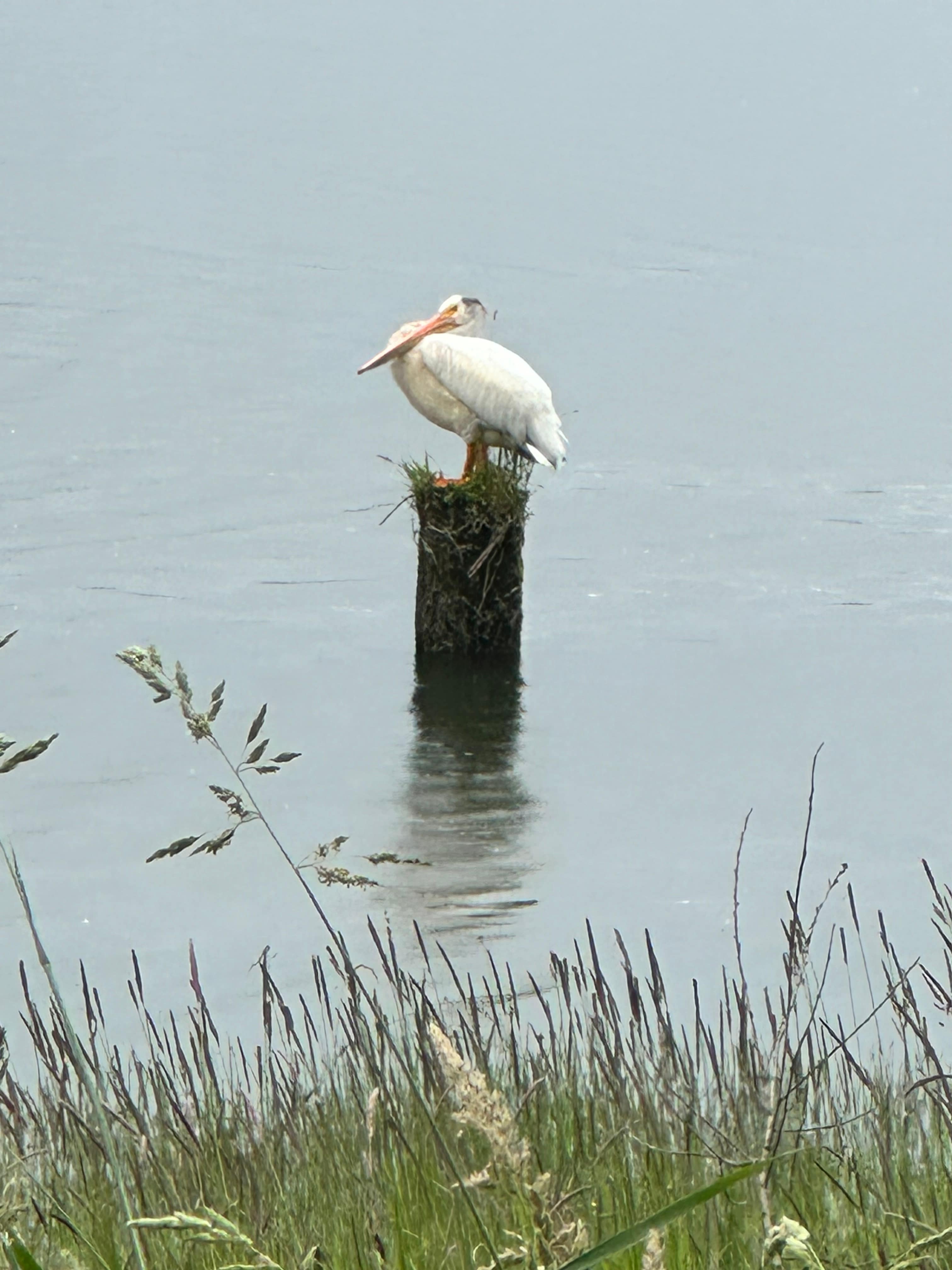 Batwater Station on Columbia River
