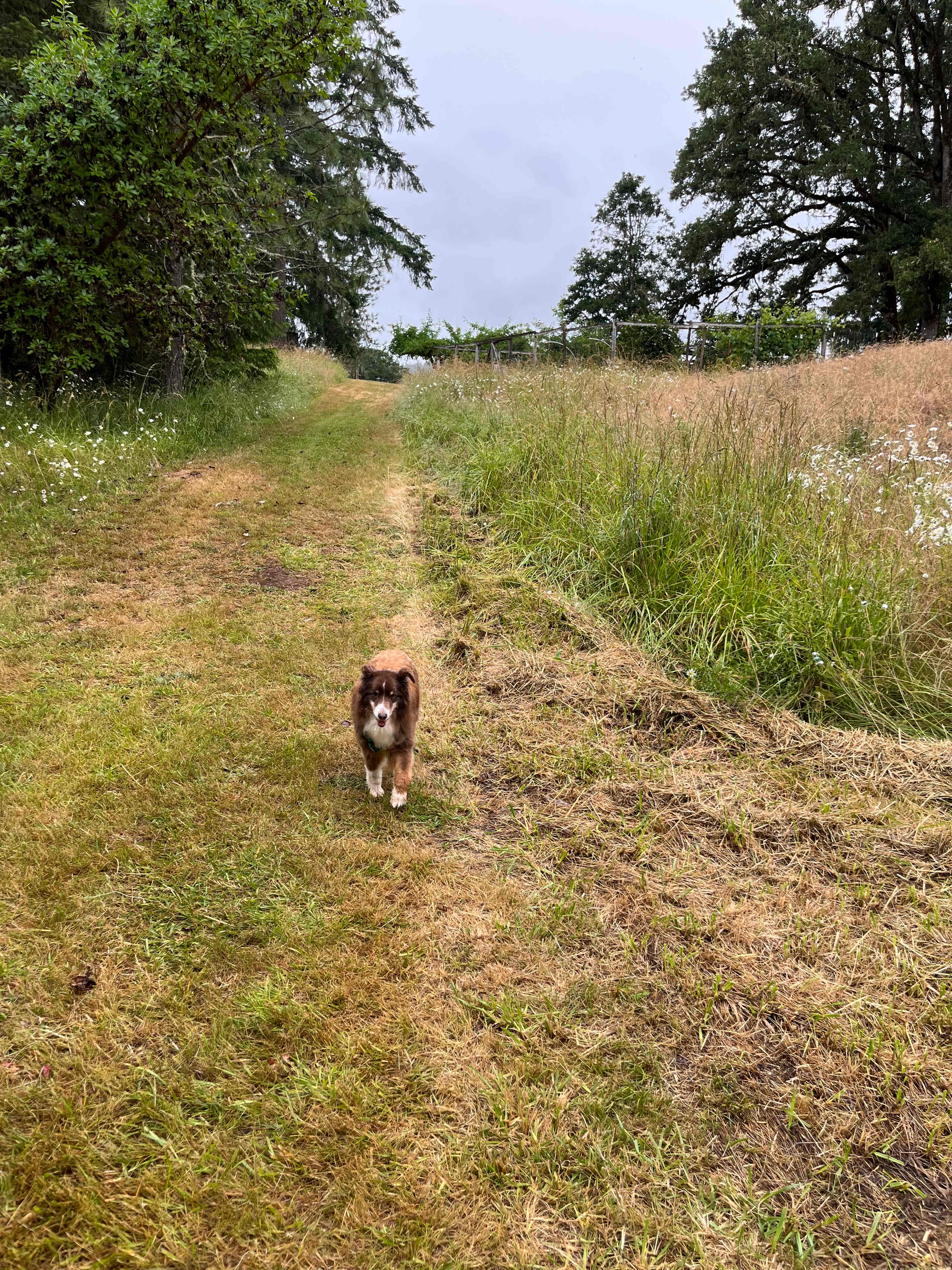 Applegate Century Farm
