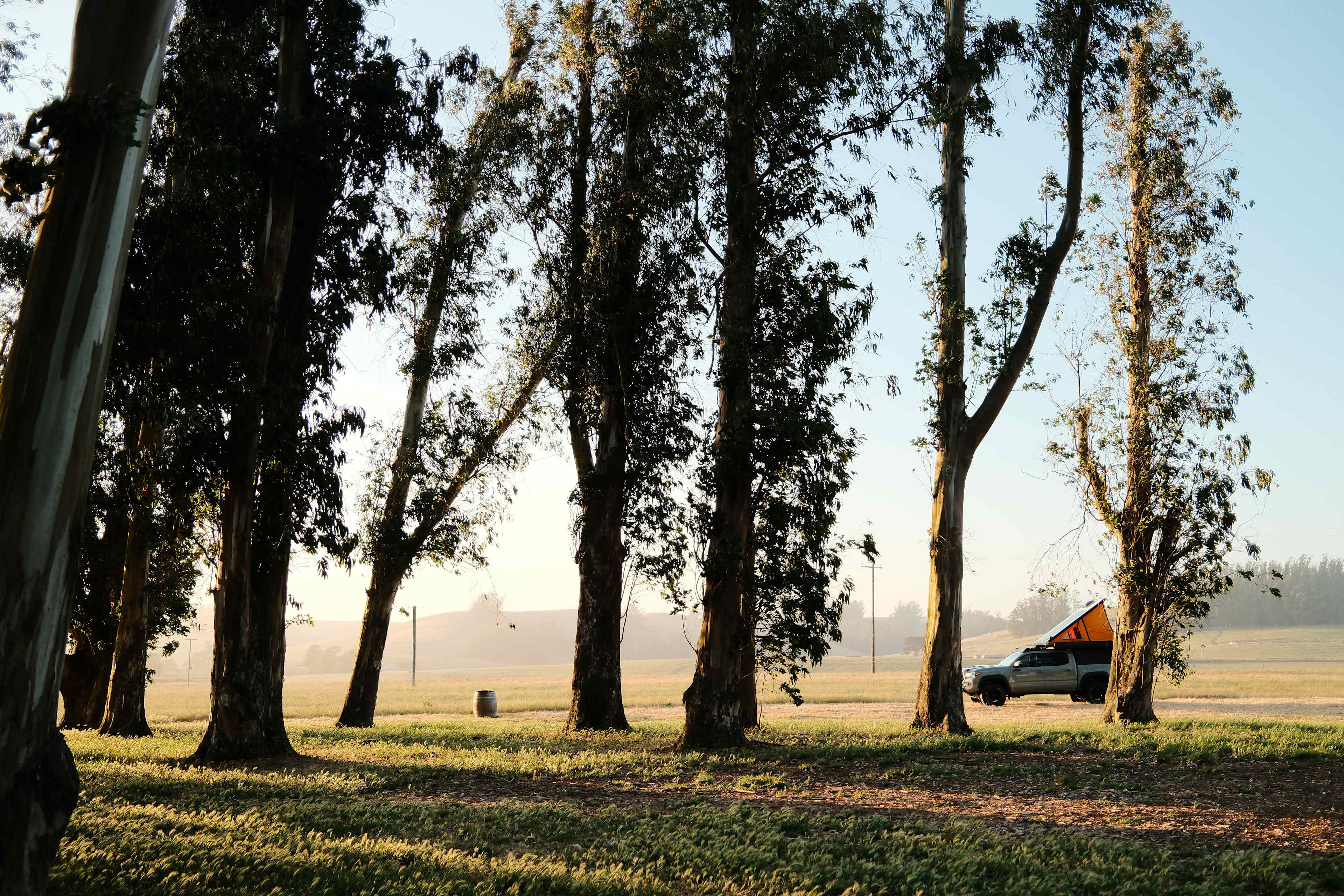 Stemple Creek Ranch