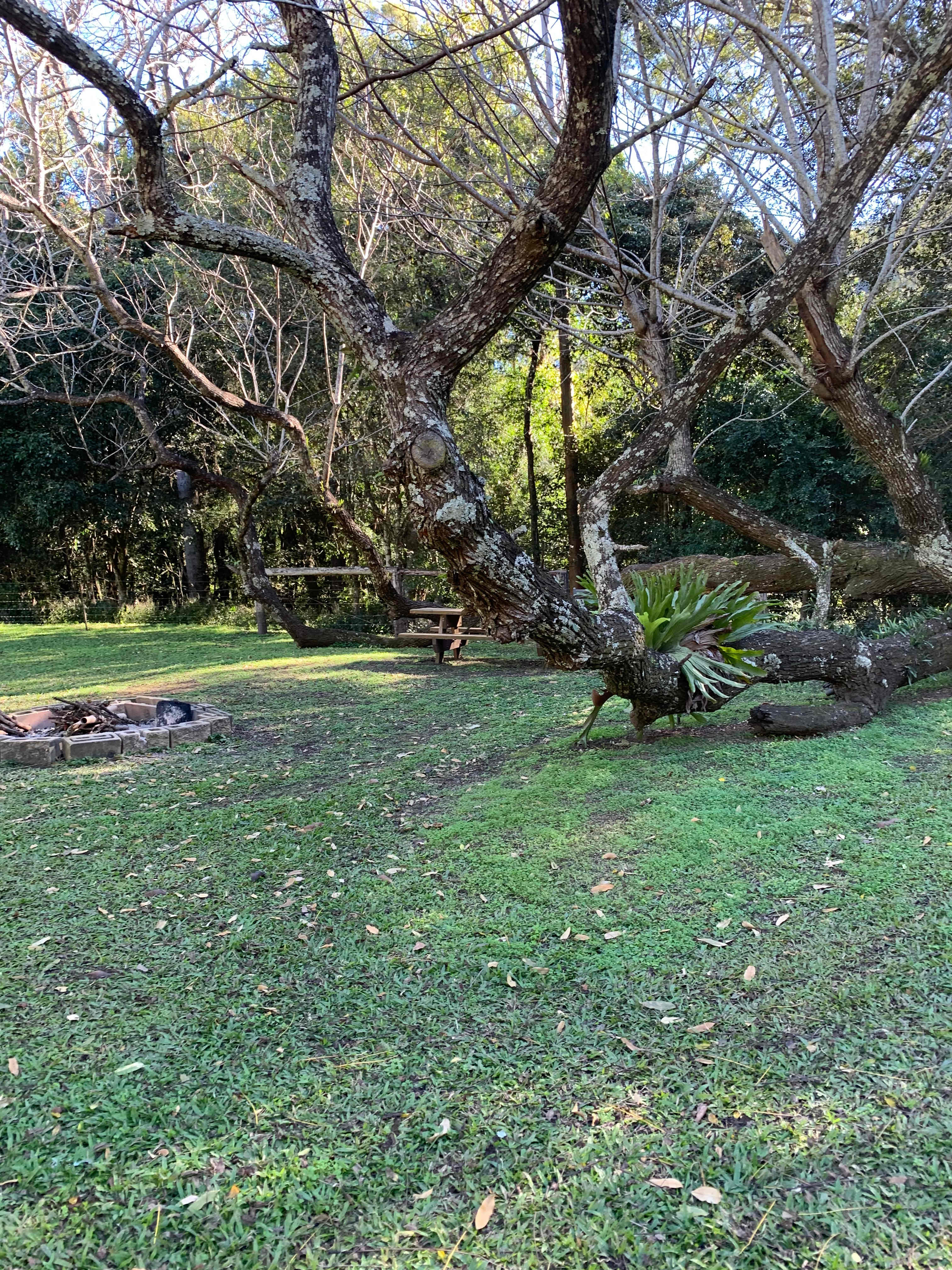 Windyridge Creekside Camp