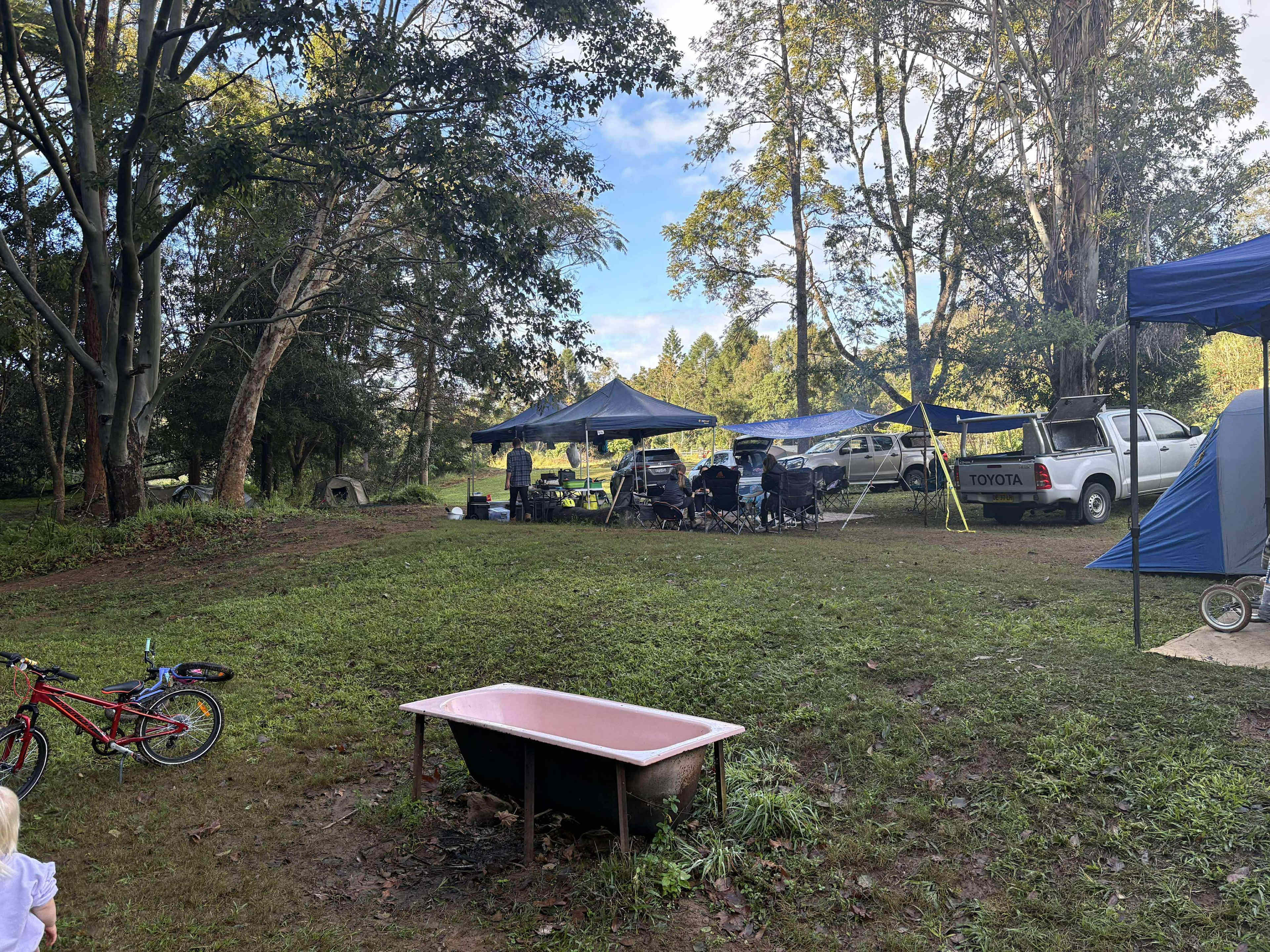 Rowlands Creek Camp Area