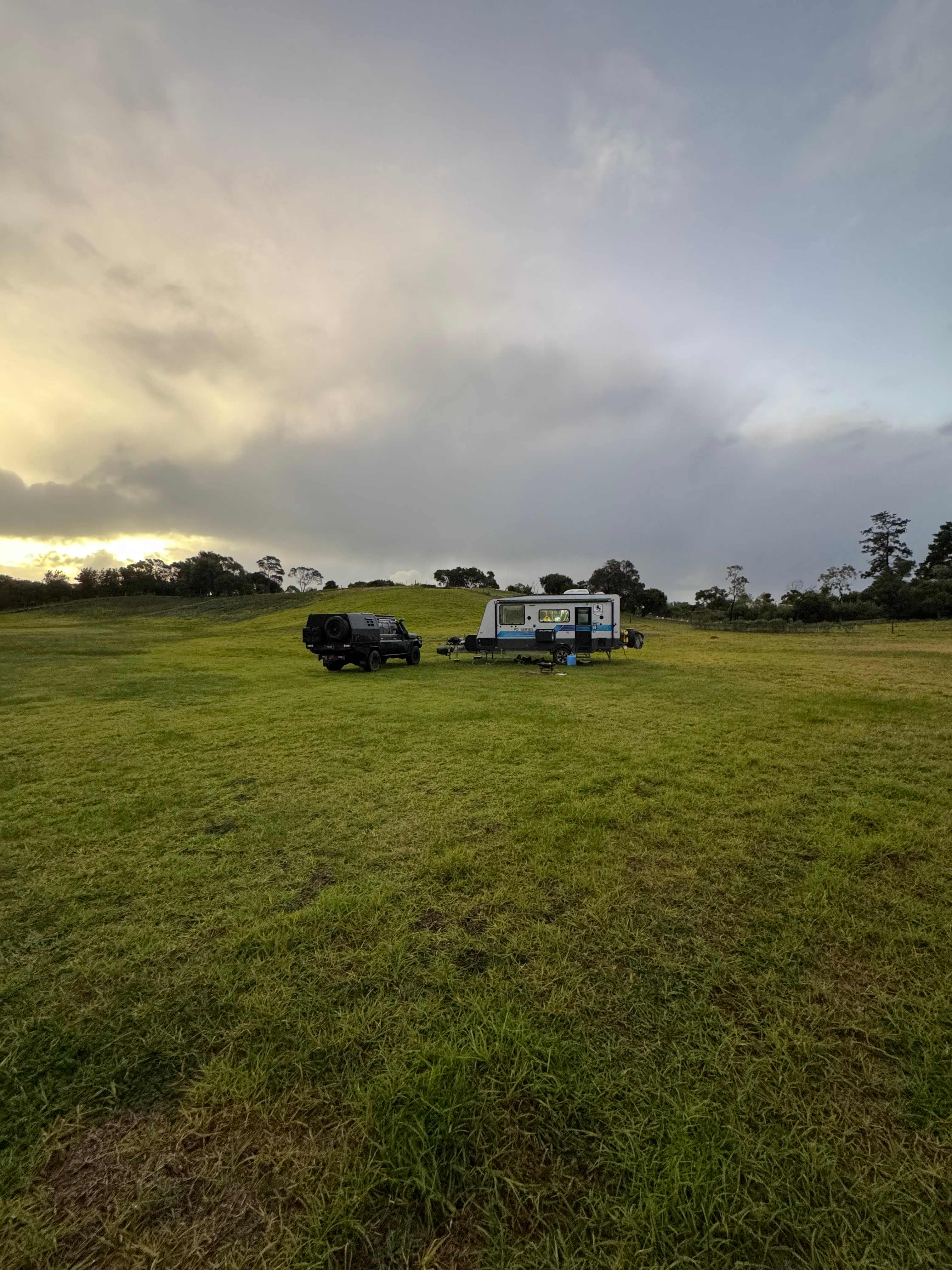 Top paddock 