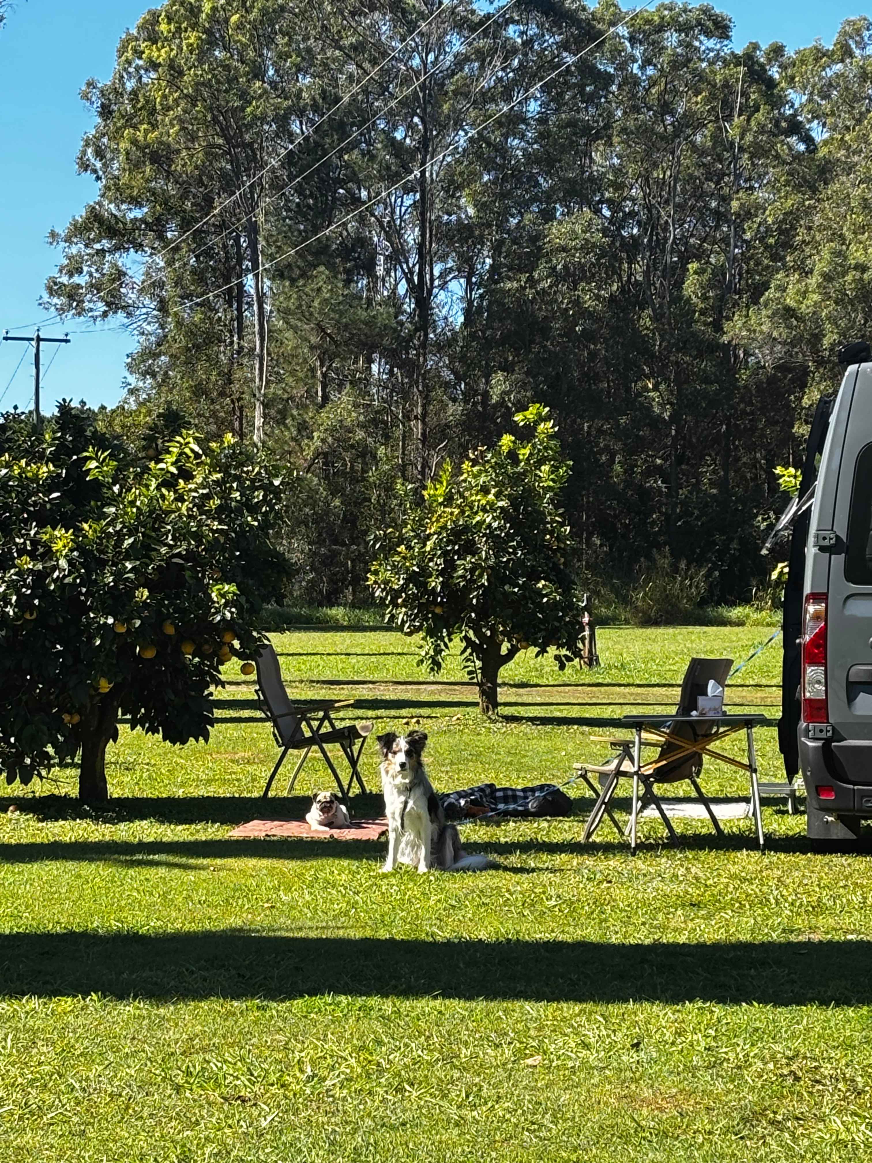 Sublime Camping