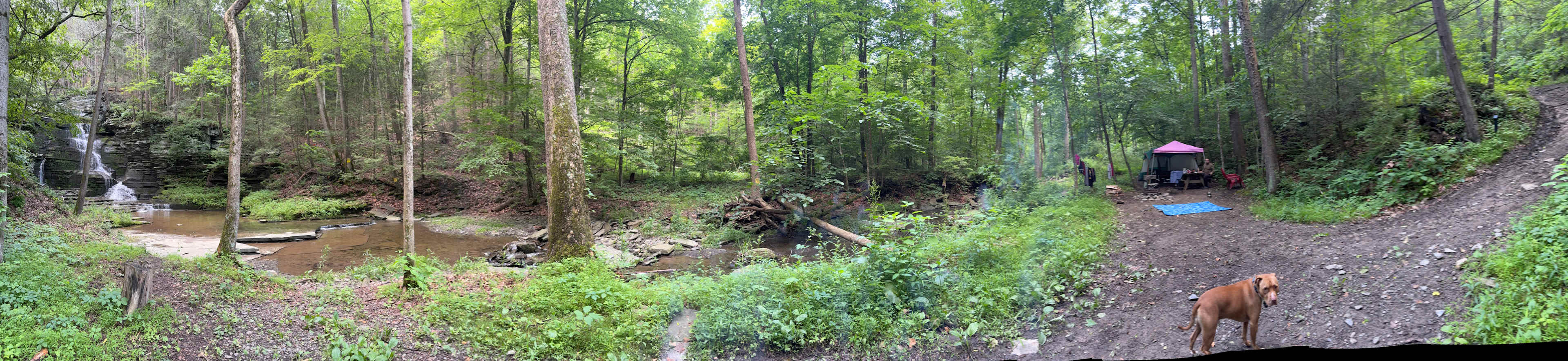Panoramic view from between our site and the waterfall