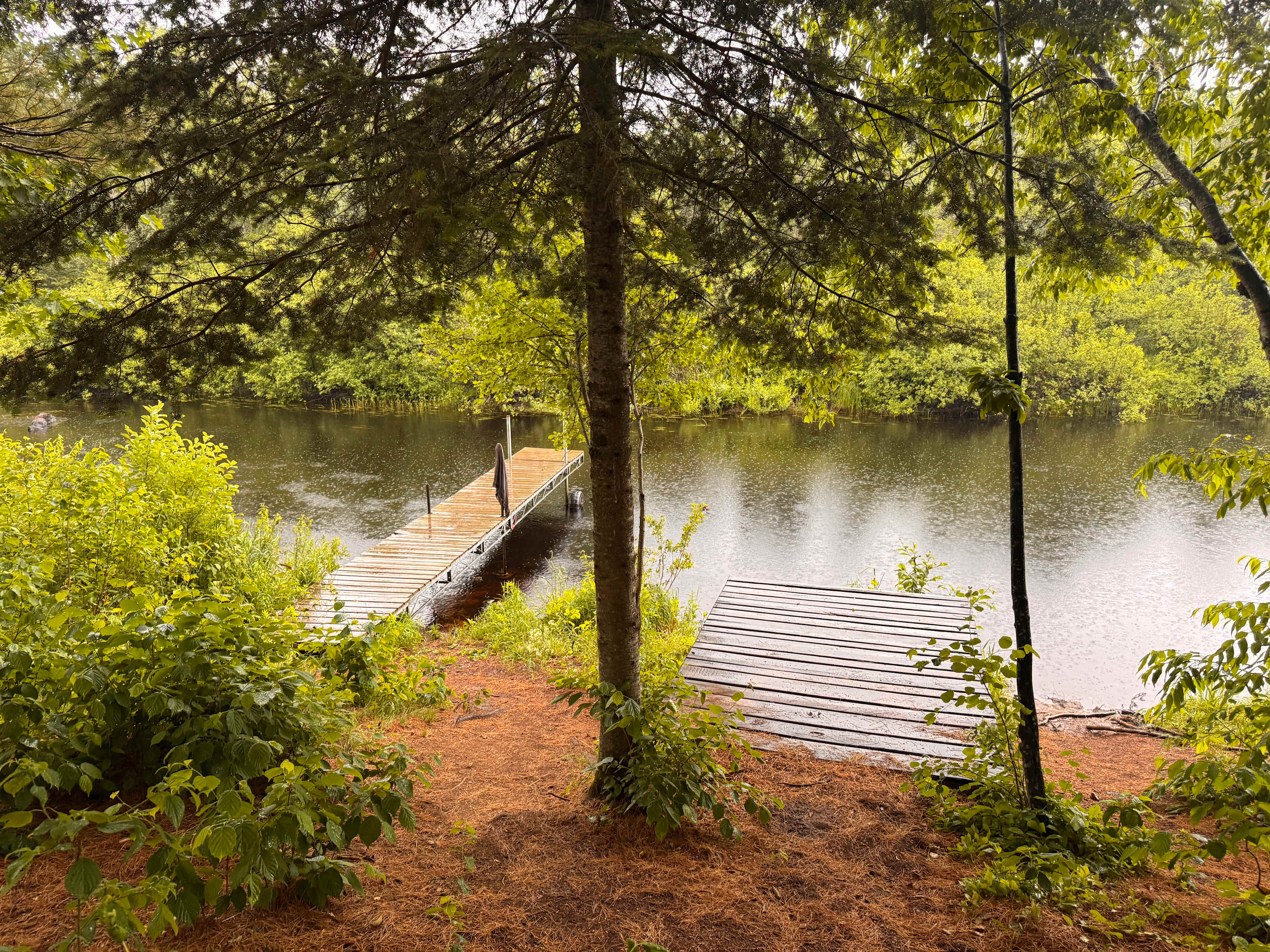 Bad River Wilderness