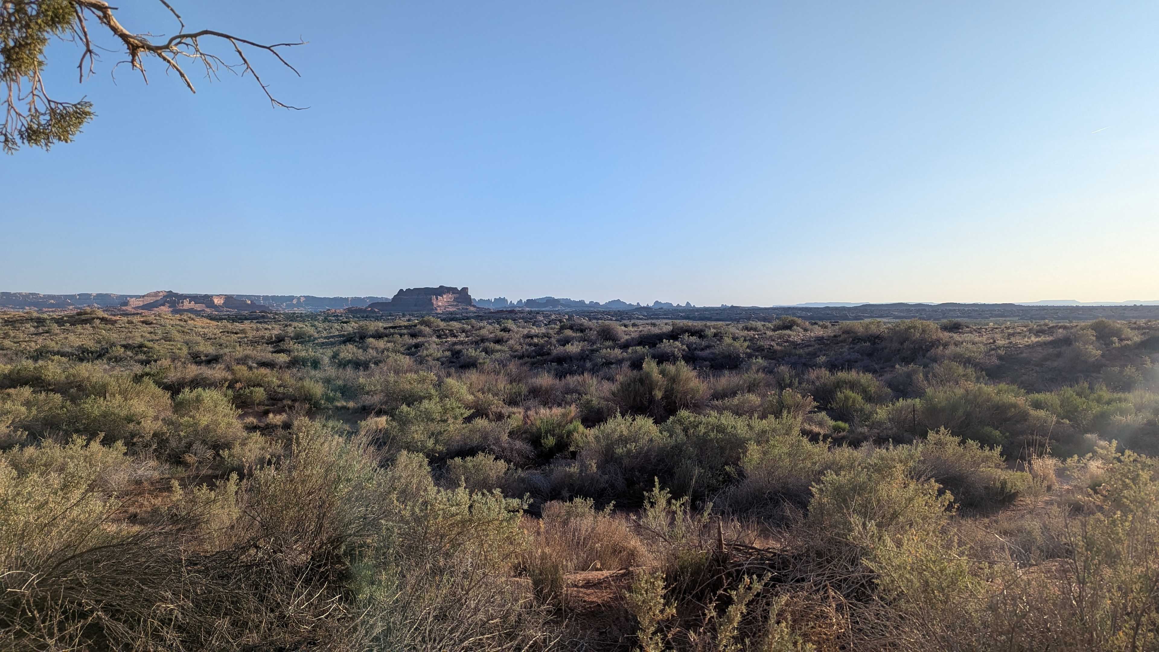 View from our site! 