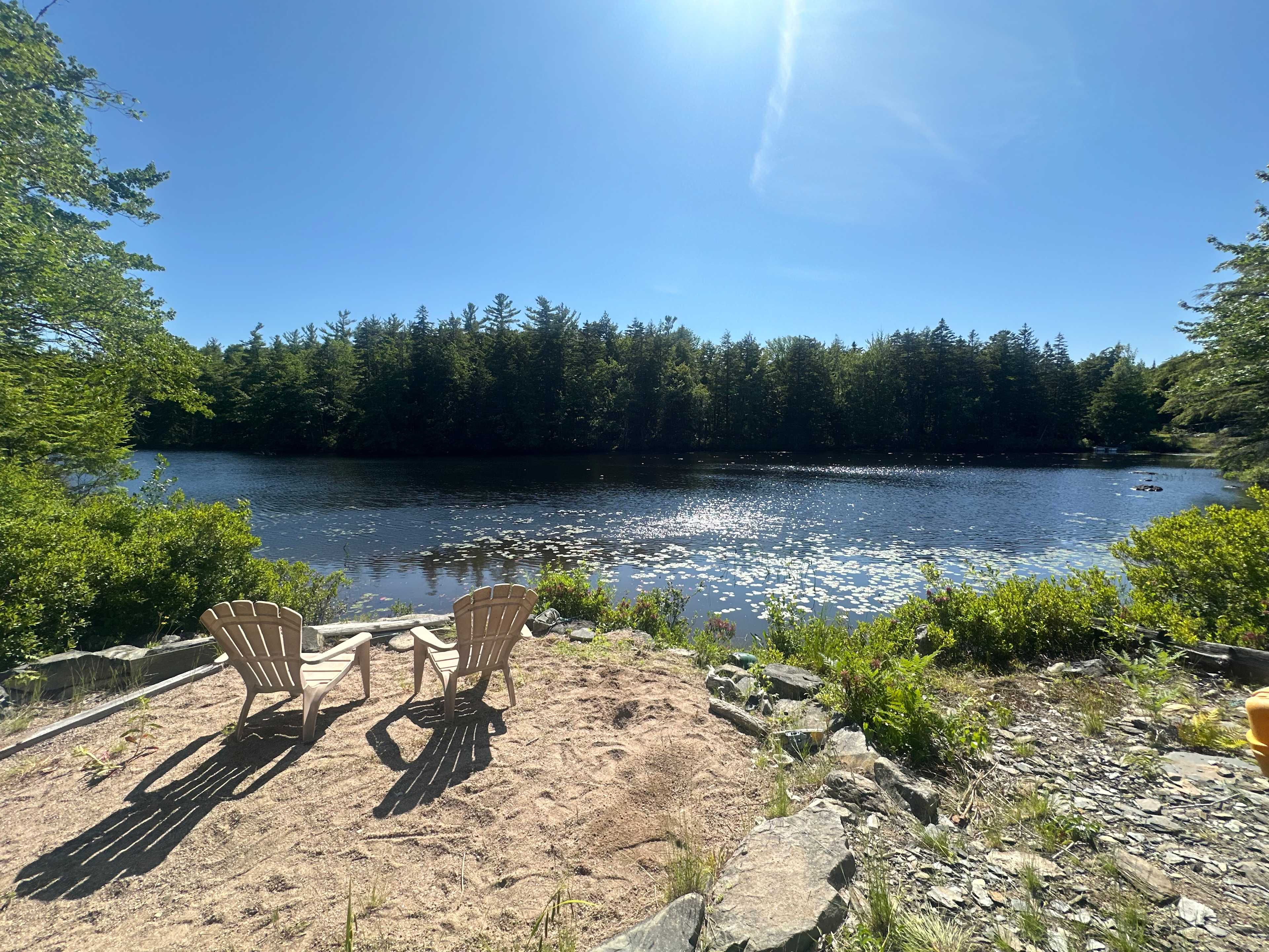Dragonfly Lake Serenity