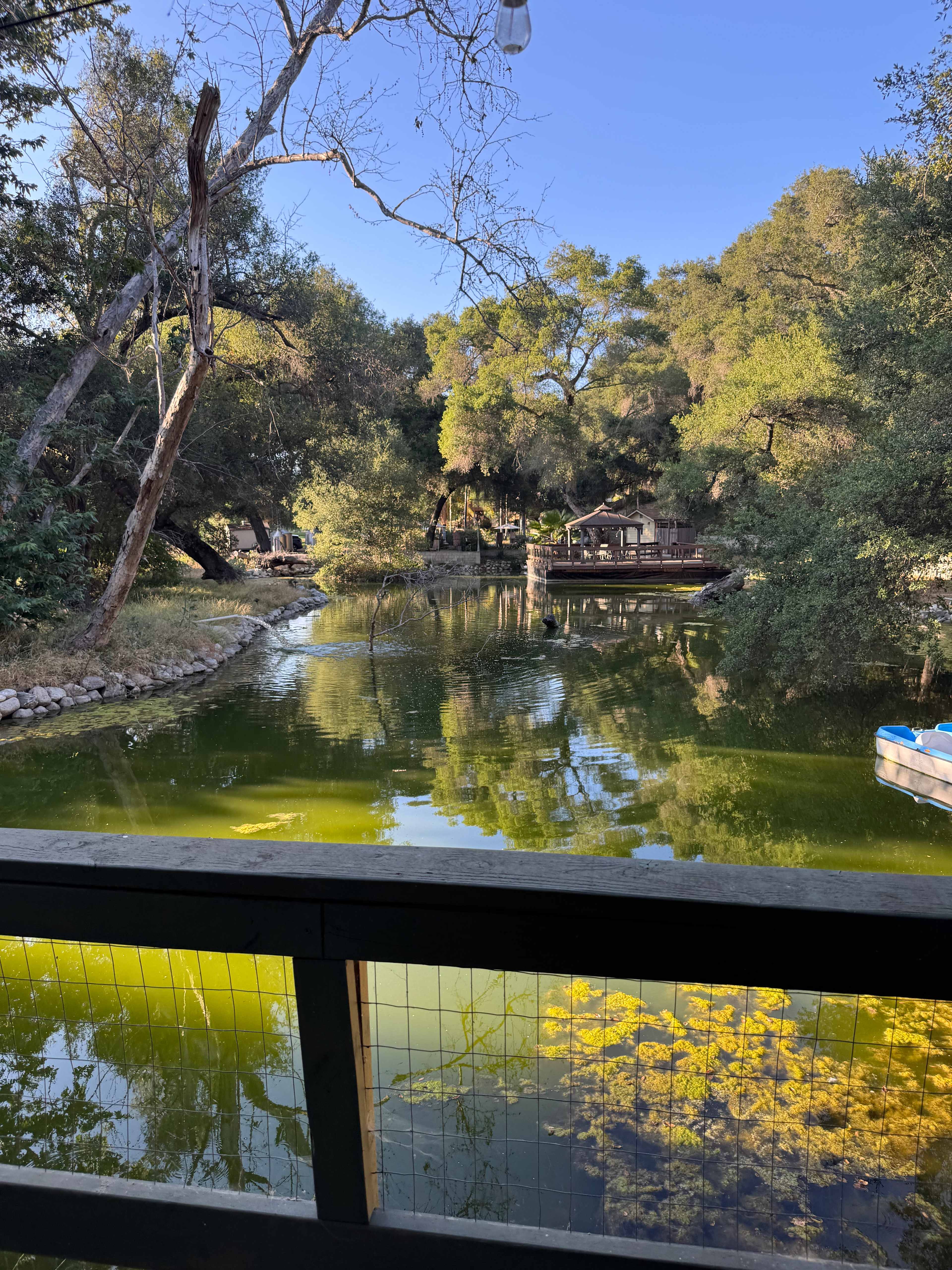 Temecula Bullfrog Pond
