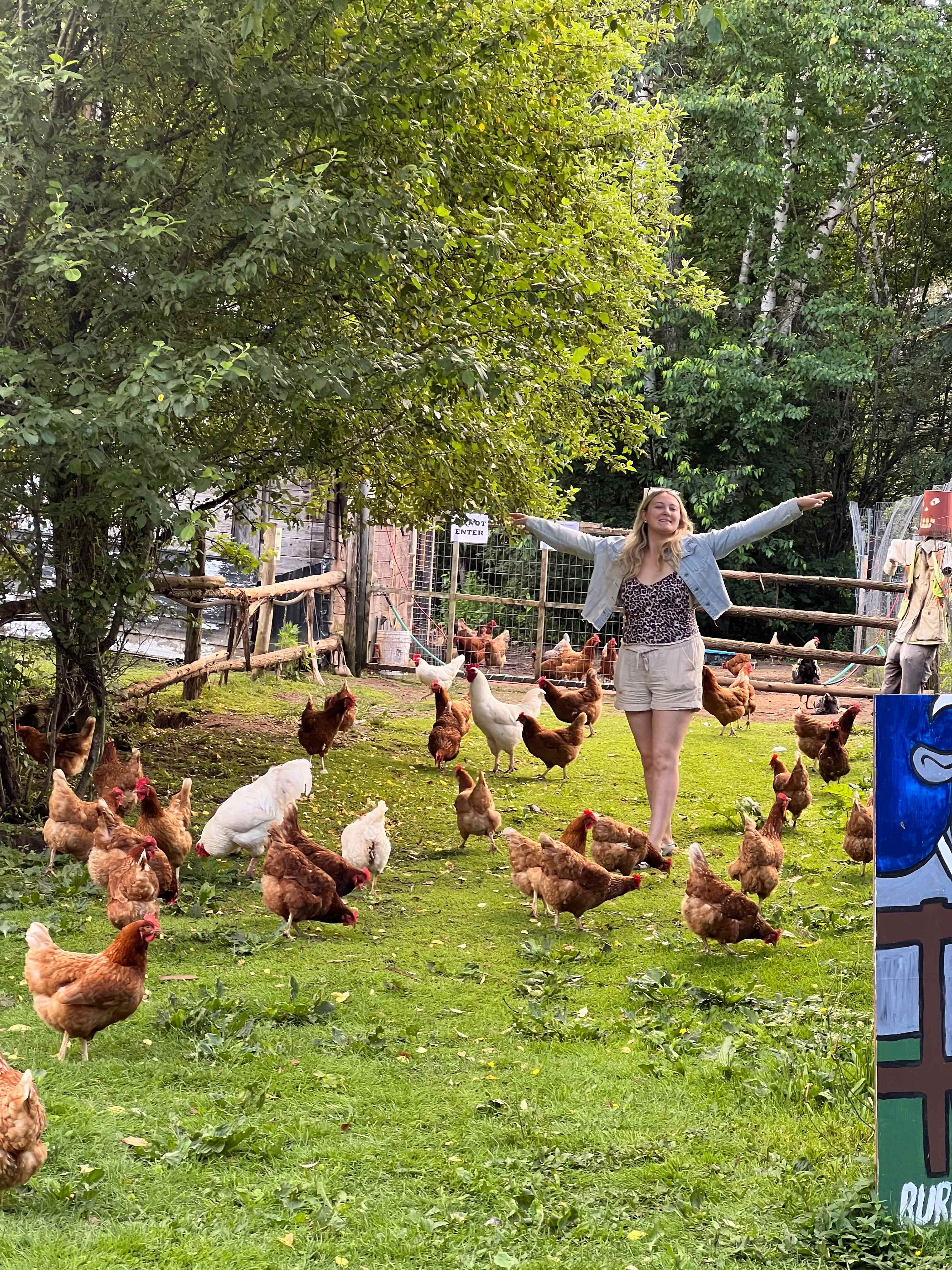 Burke’s Barnyard - Farm Camping