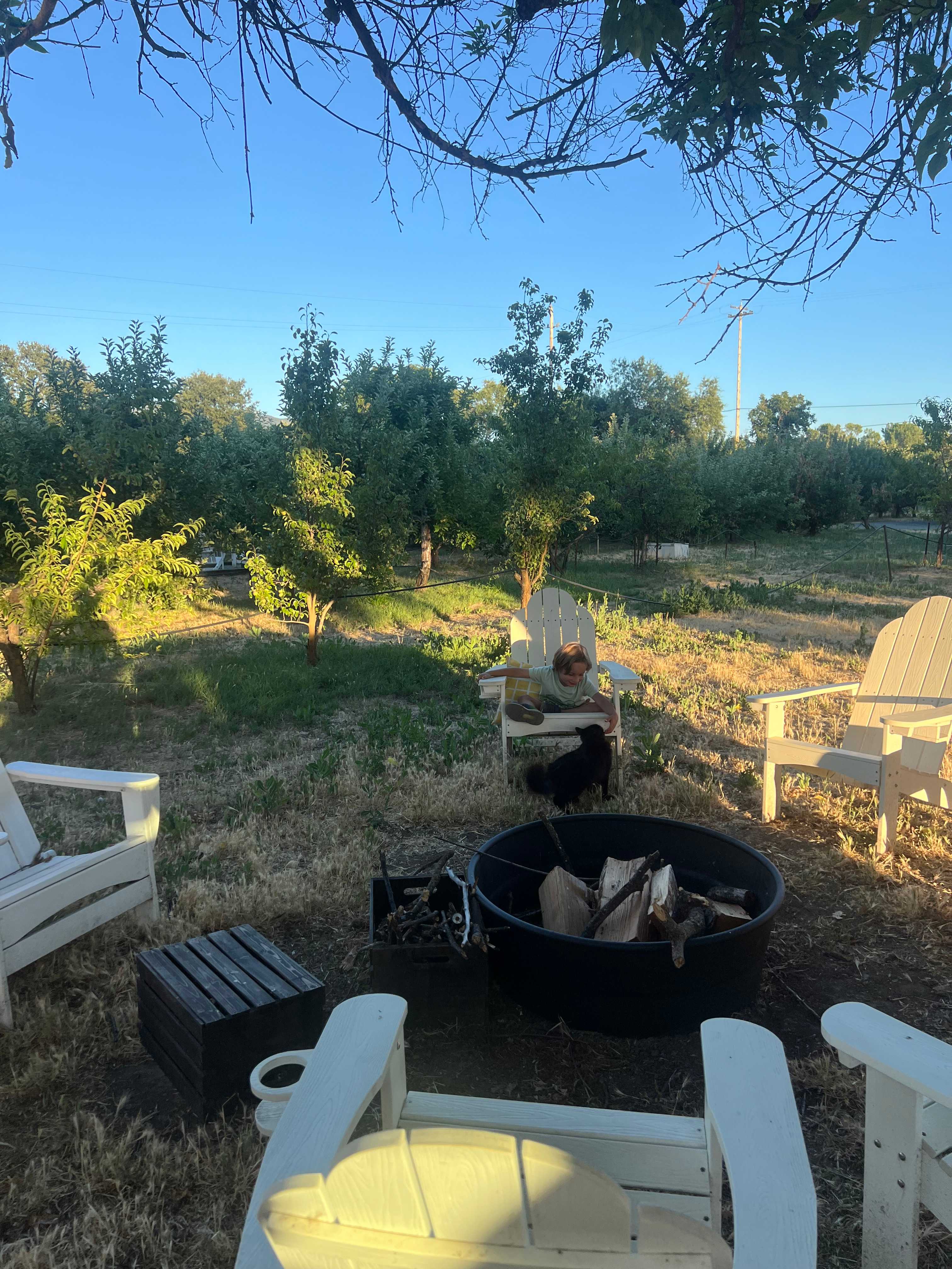 The Ripe Choice Farm Stay