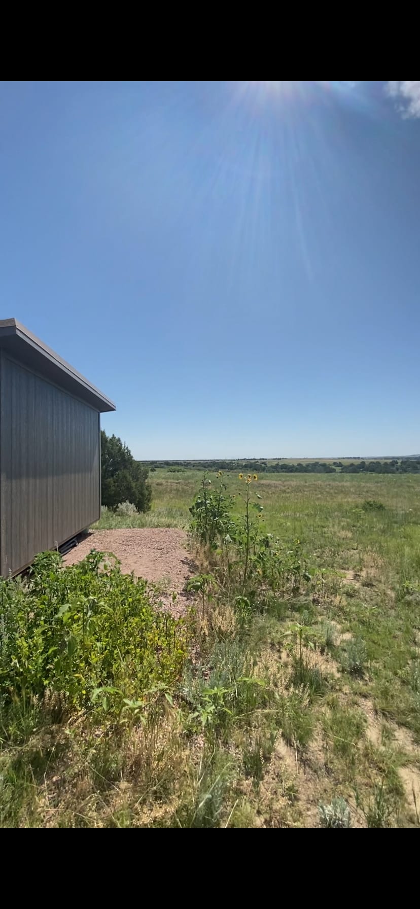 Colorado Surf Shack