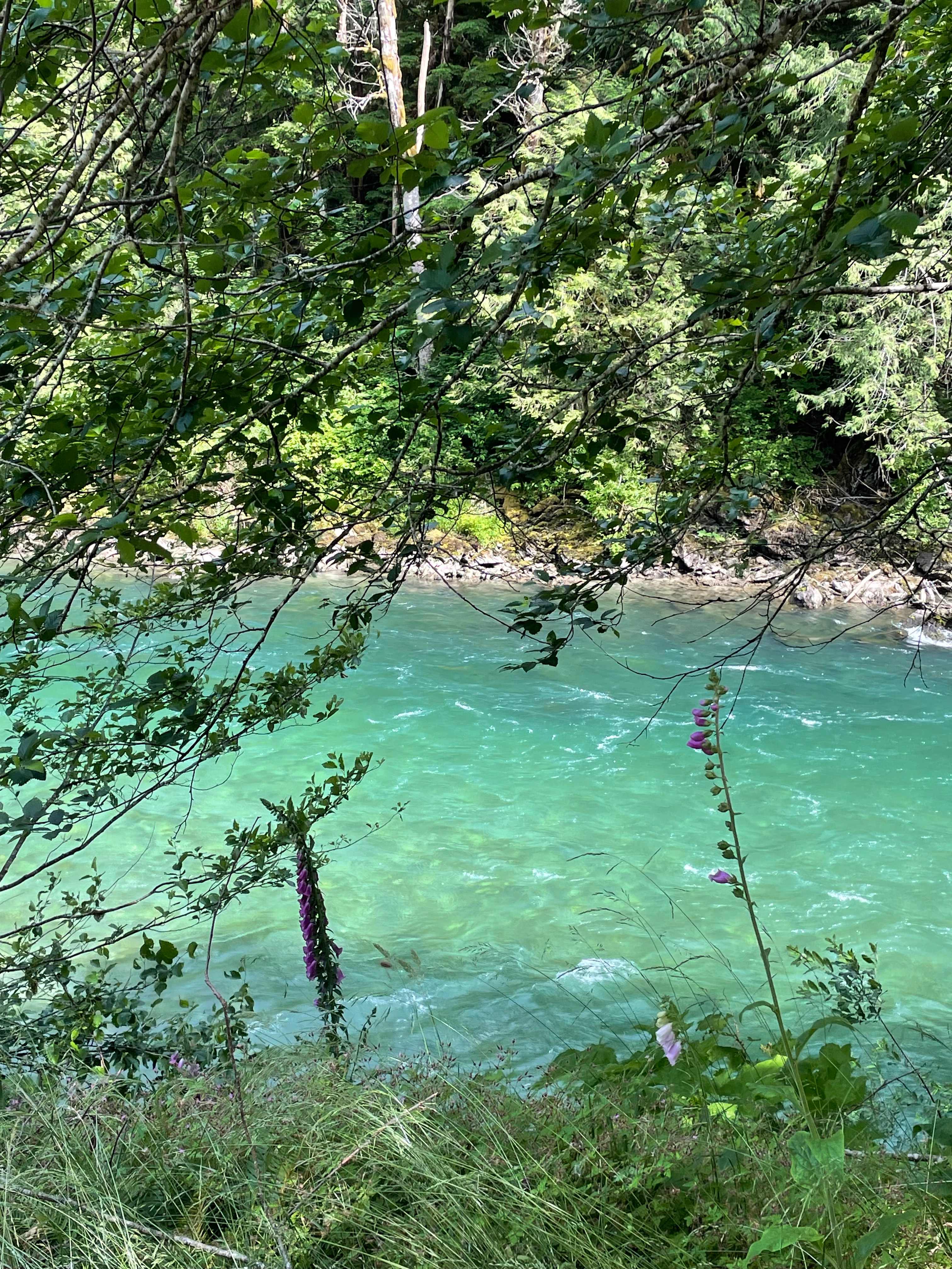 The Gem at Mt. Baker.