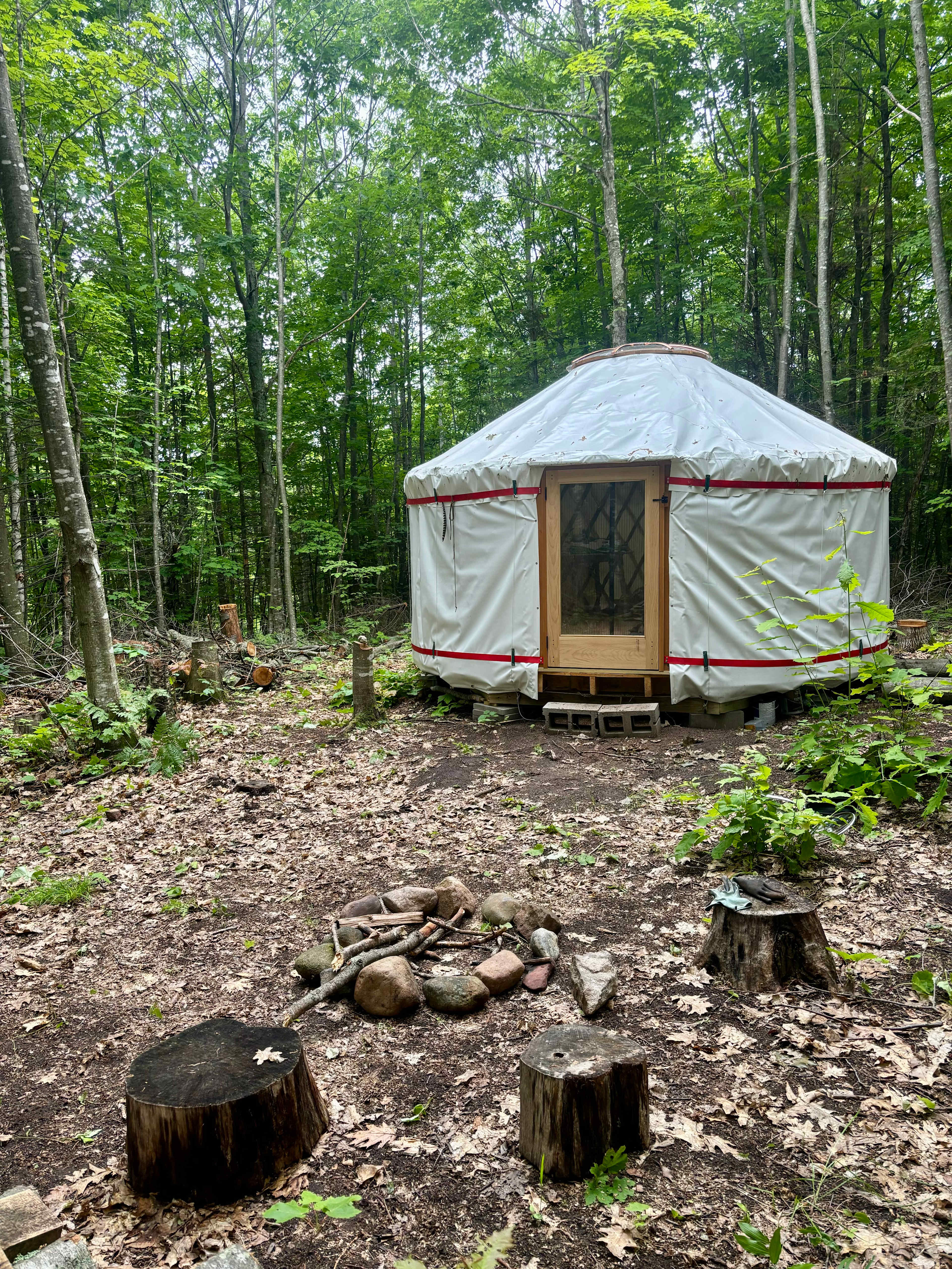 Off-Grid Secluded Forest Yurts