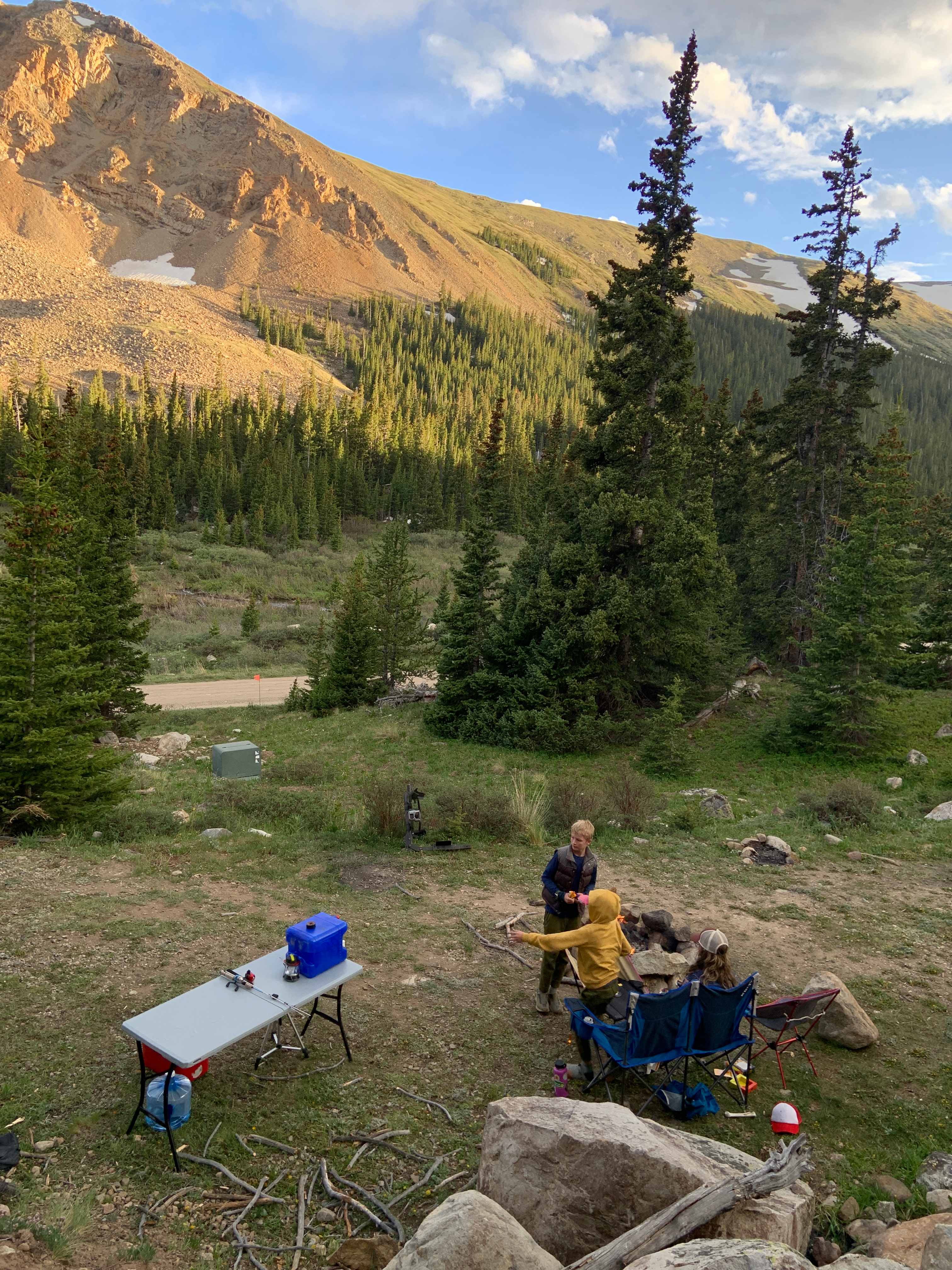 Wandering Moose Meadows