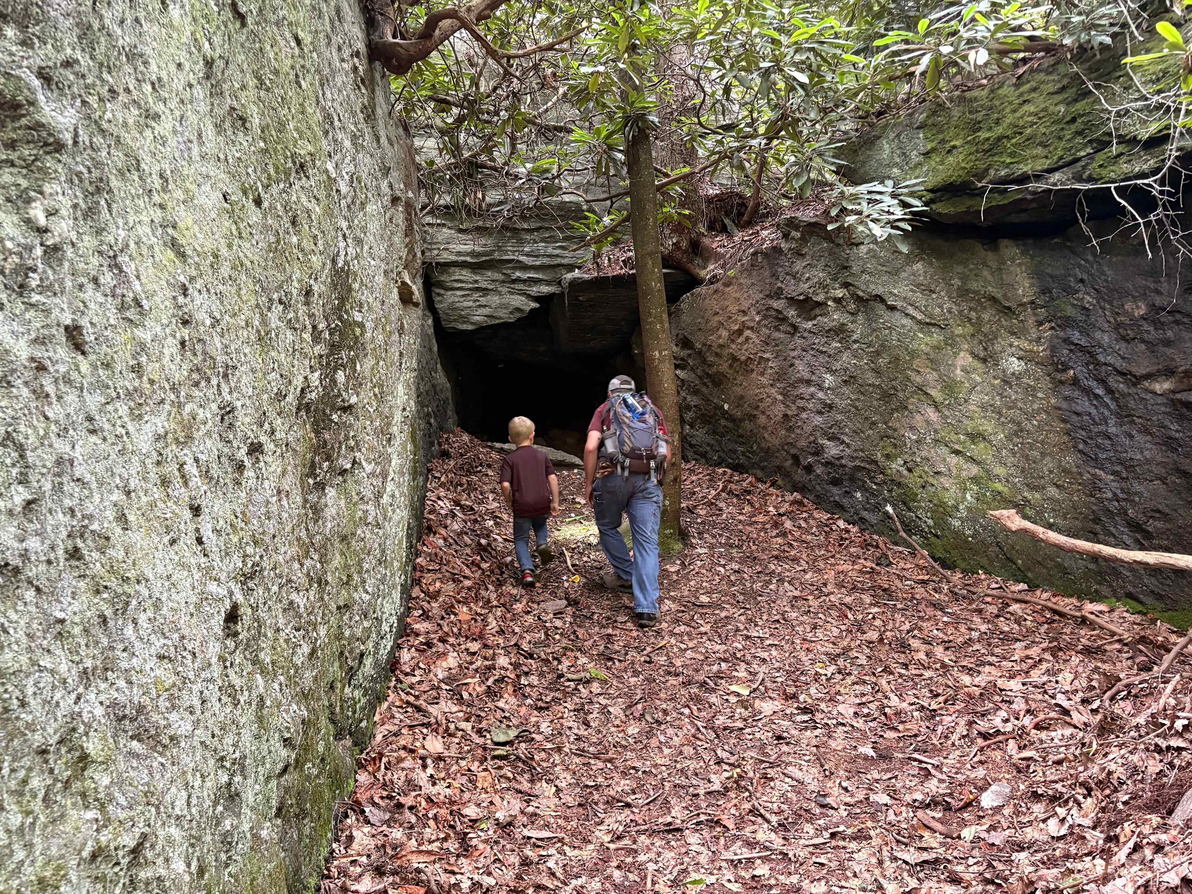 Harmony Glen
