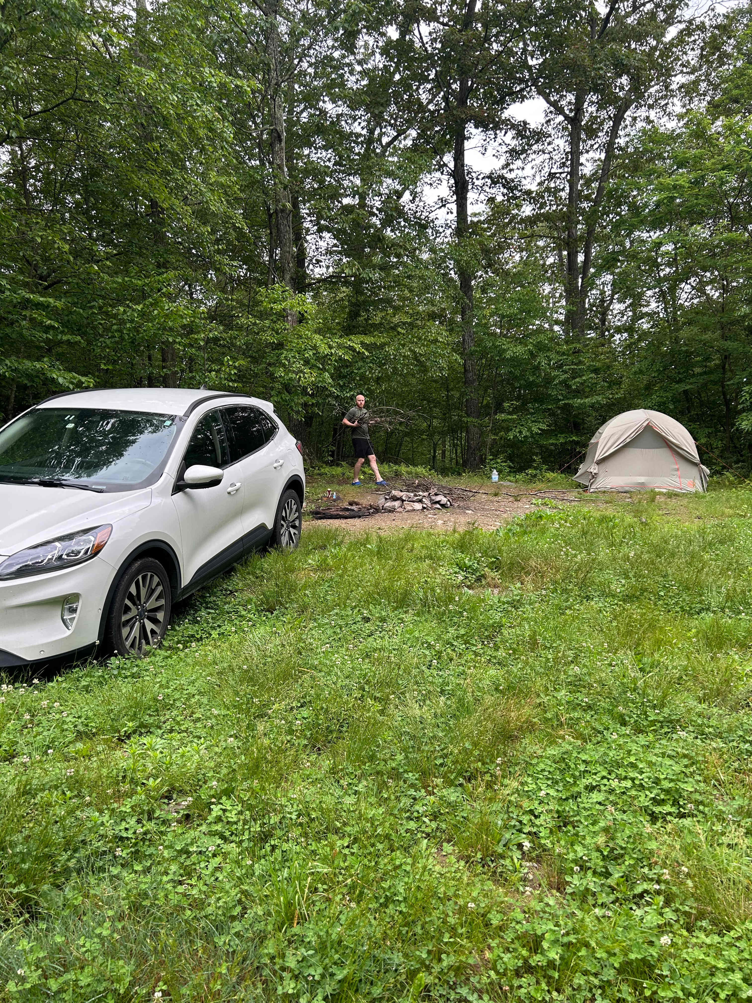 Shenandoah NP Mtn Field