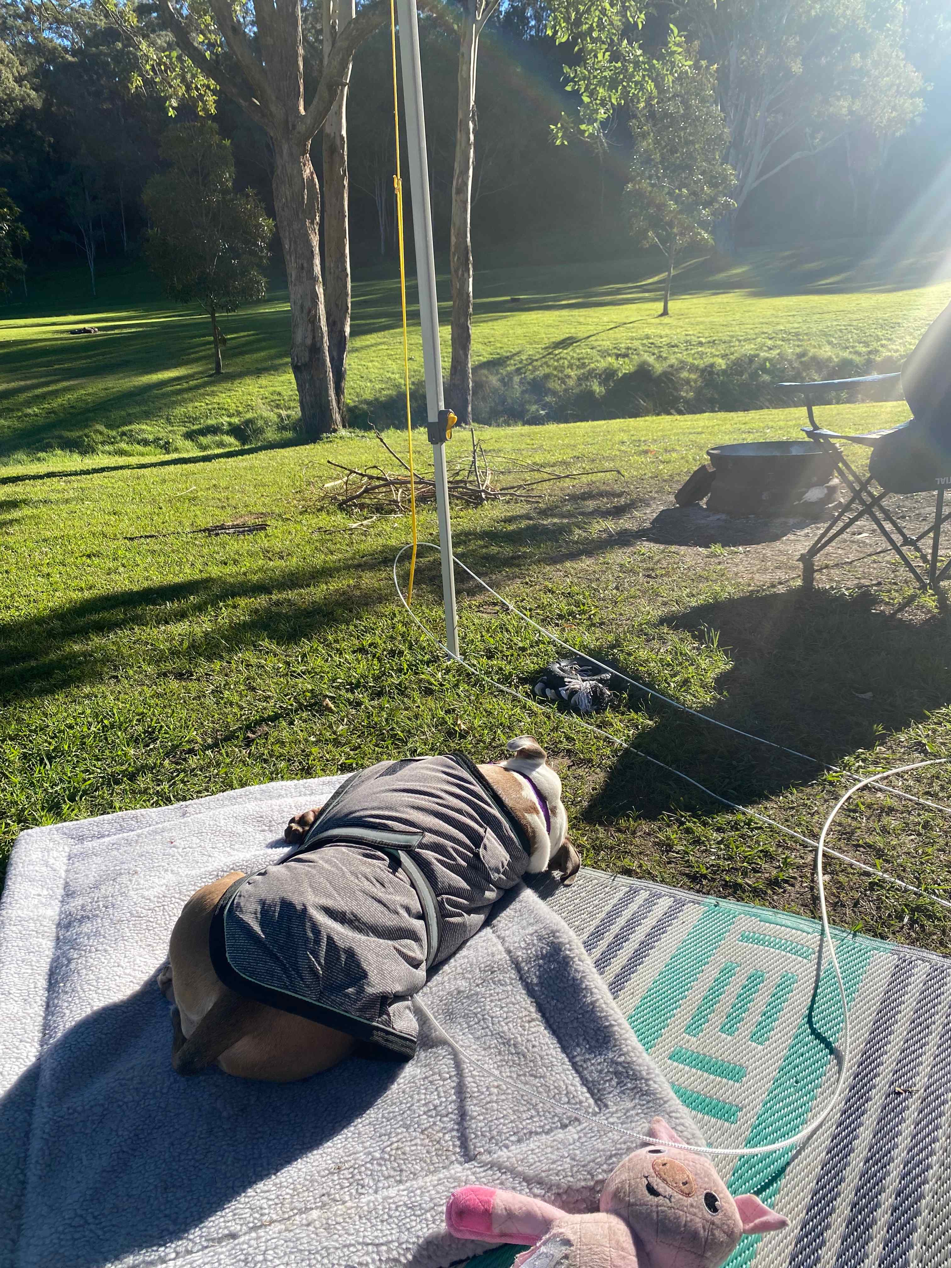 Andrew Drynan Park-Camp with a view