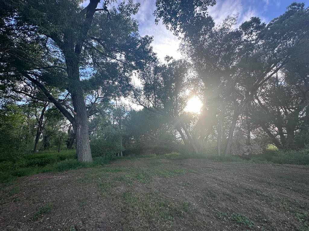 Wildhorse Creek At BE Farm