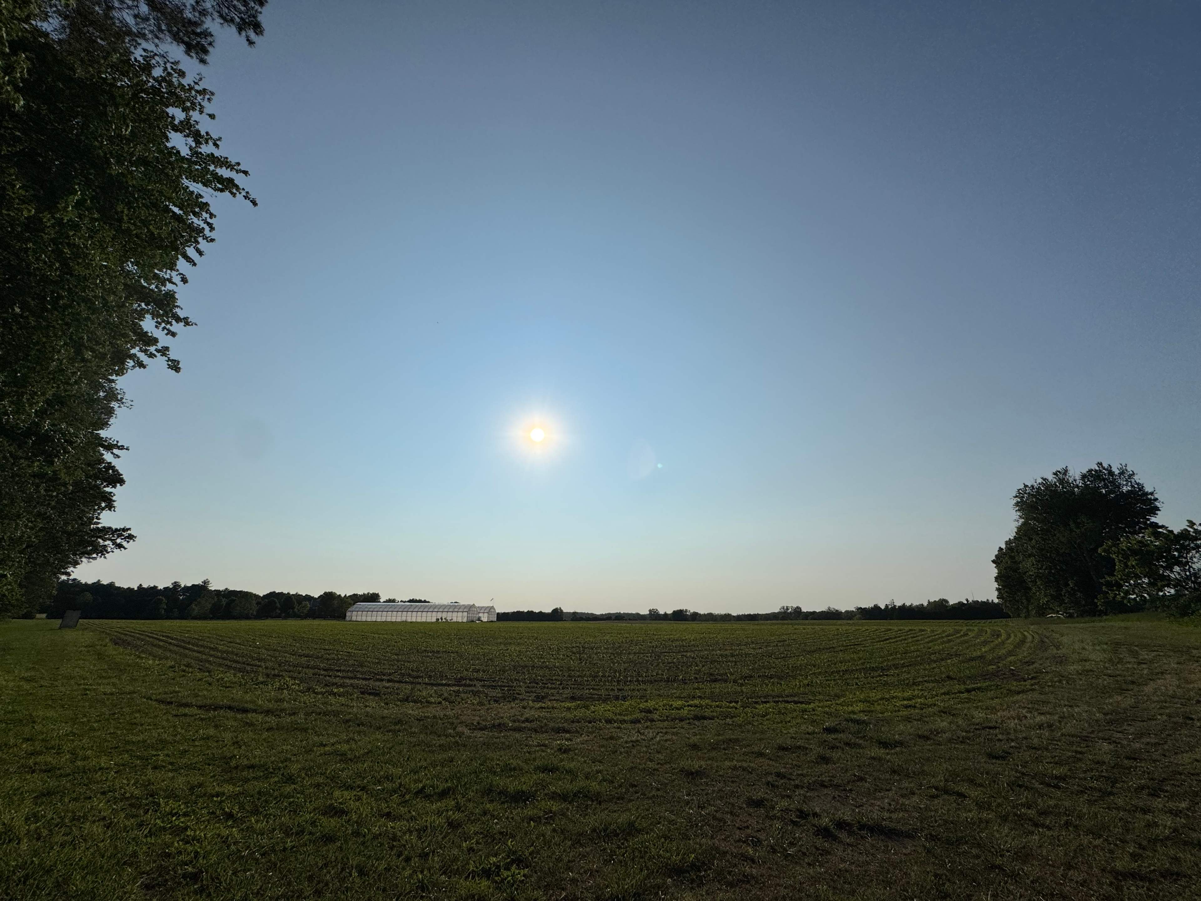 Field near the campground