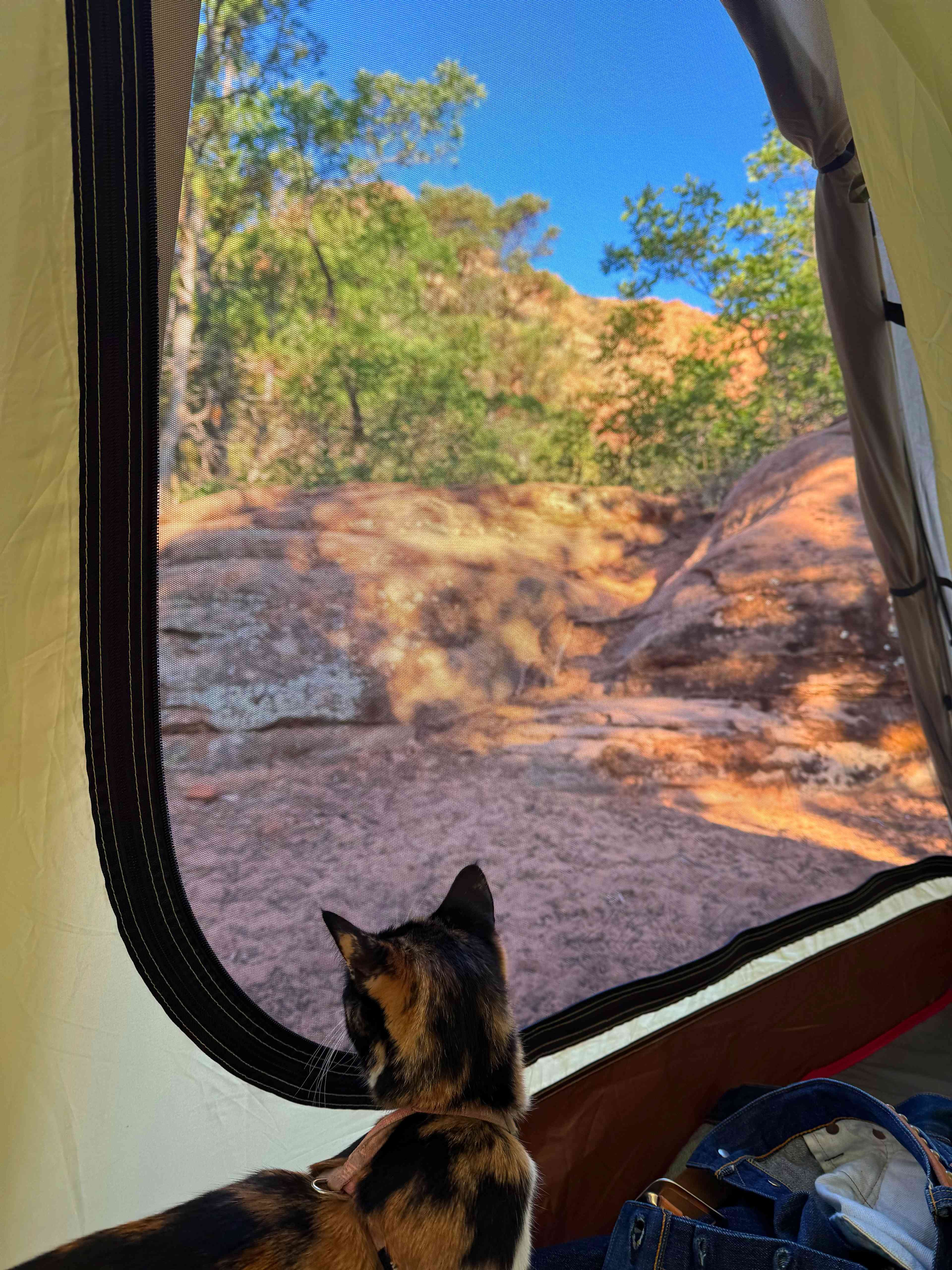 Water Canyon Campground and Resort