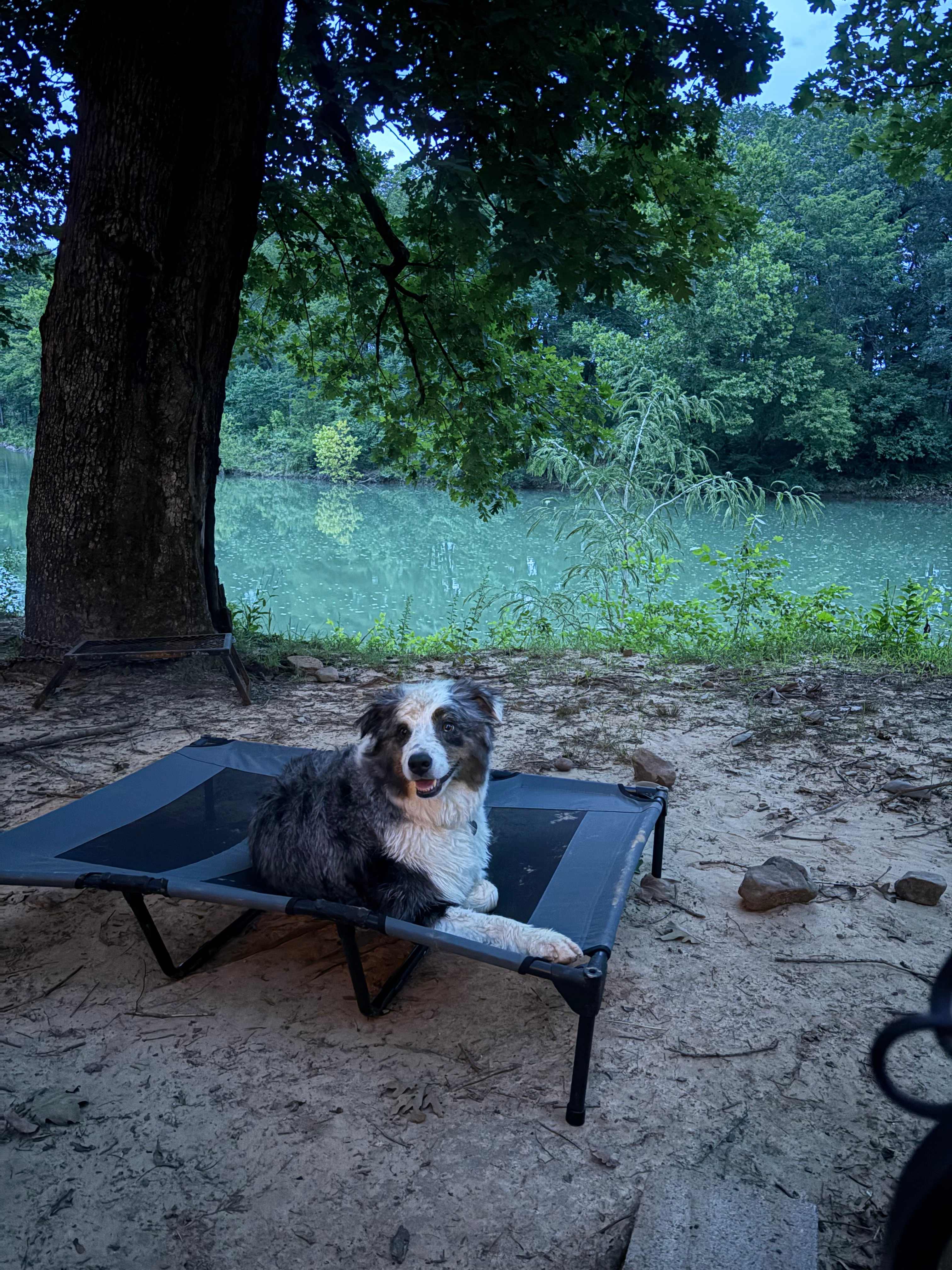 Yearling Ridge Riverfront Camp