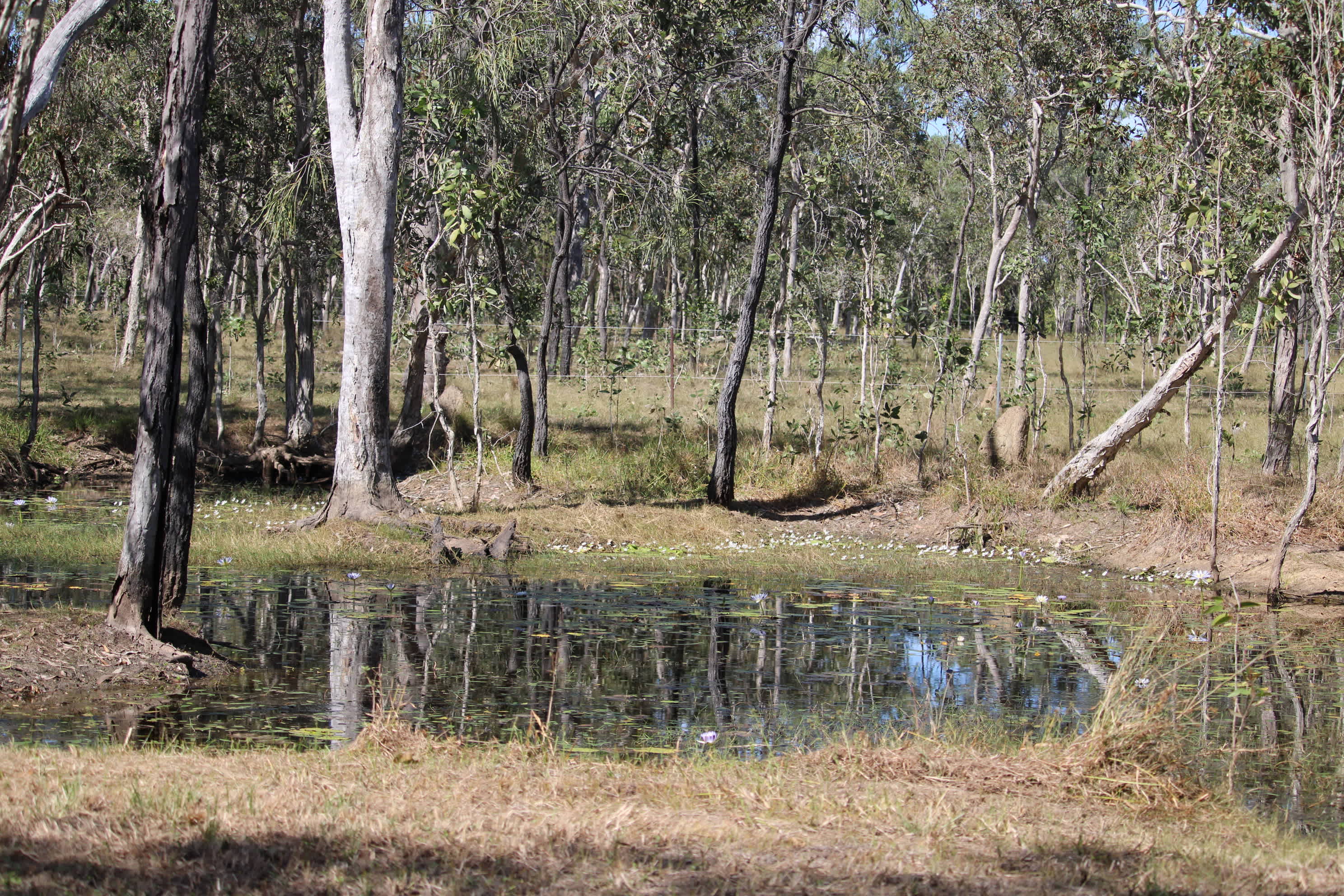 Black River Bush Retreat