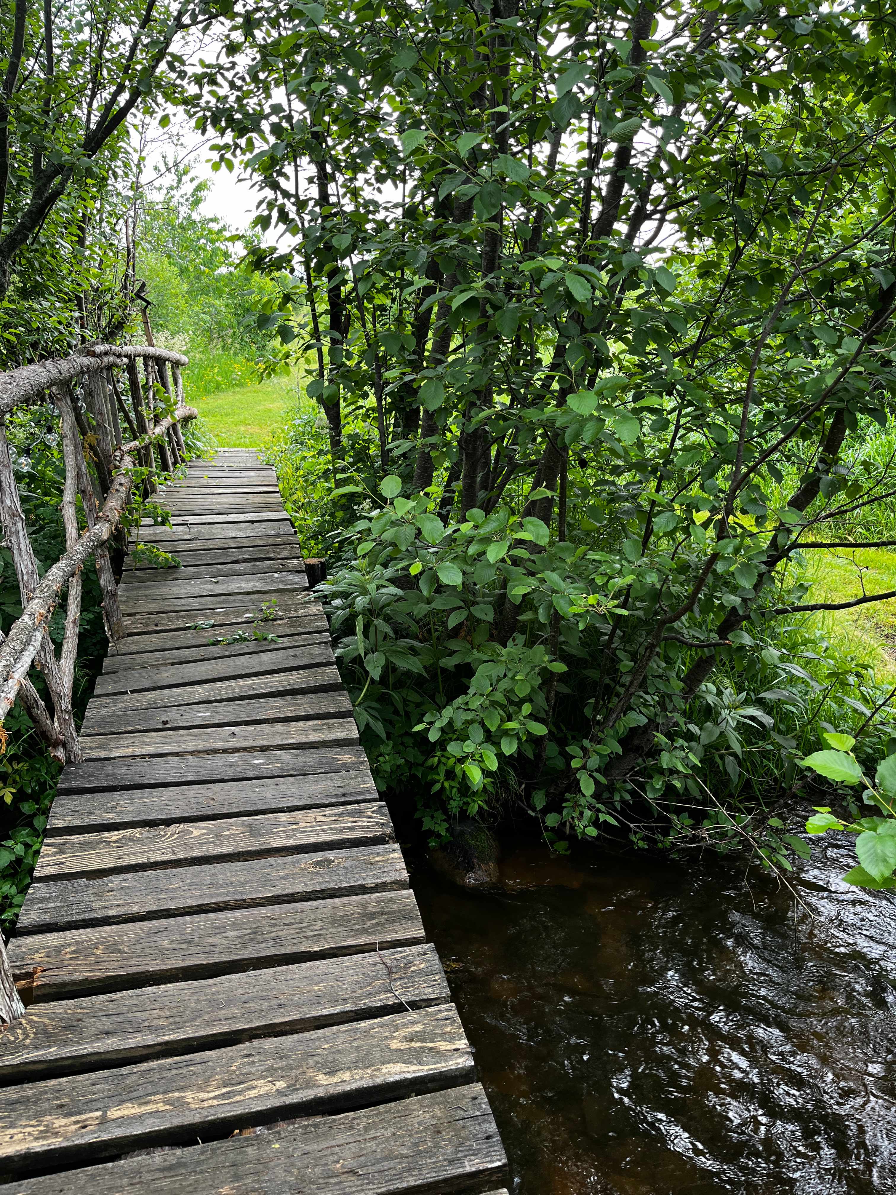 Doe Creek Hideaway