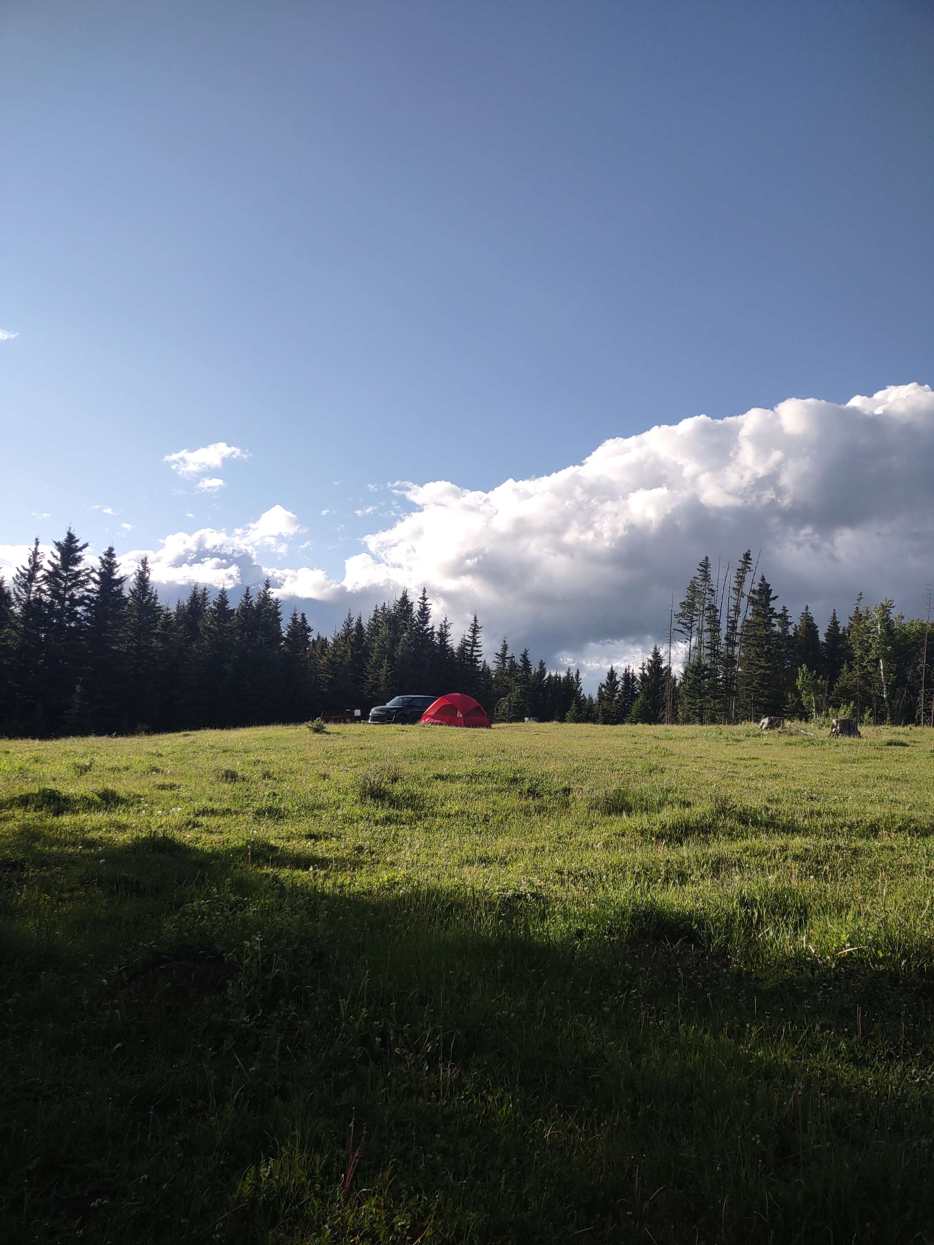 Cattle Ranch in the Foothills