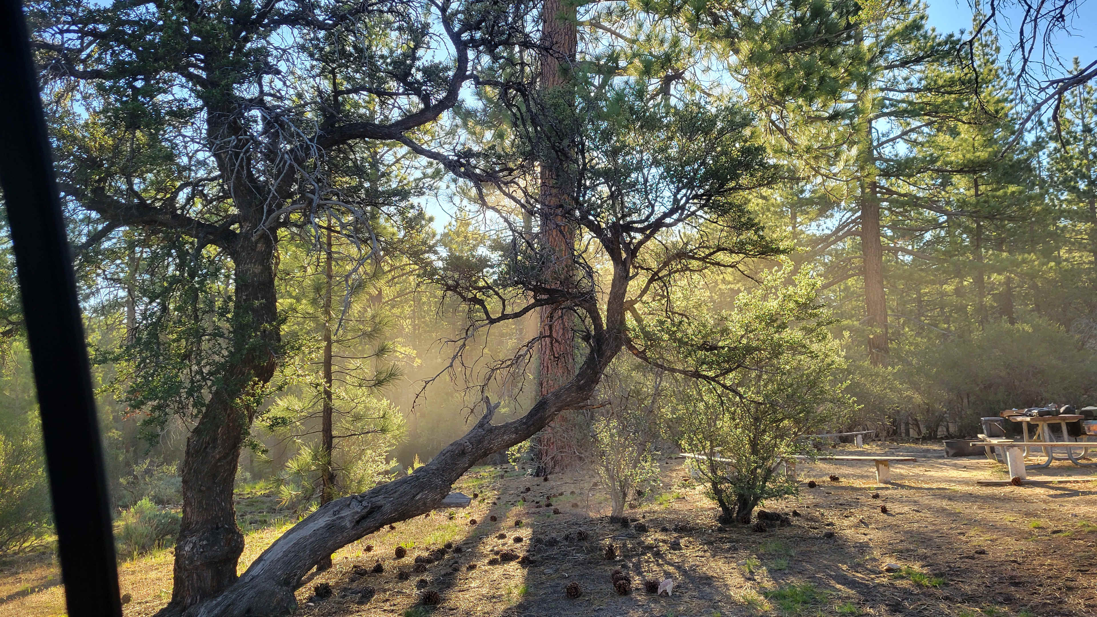 Holcomb Valley Ranch