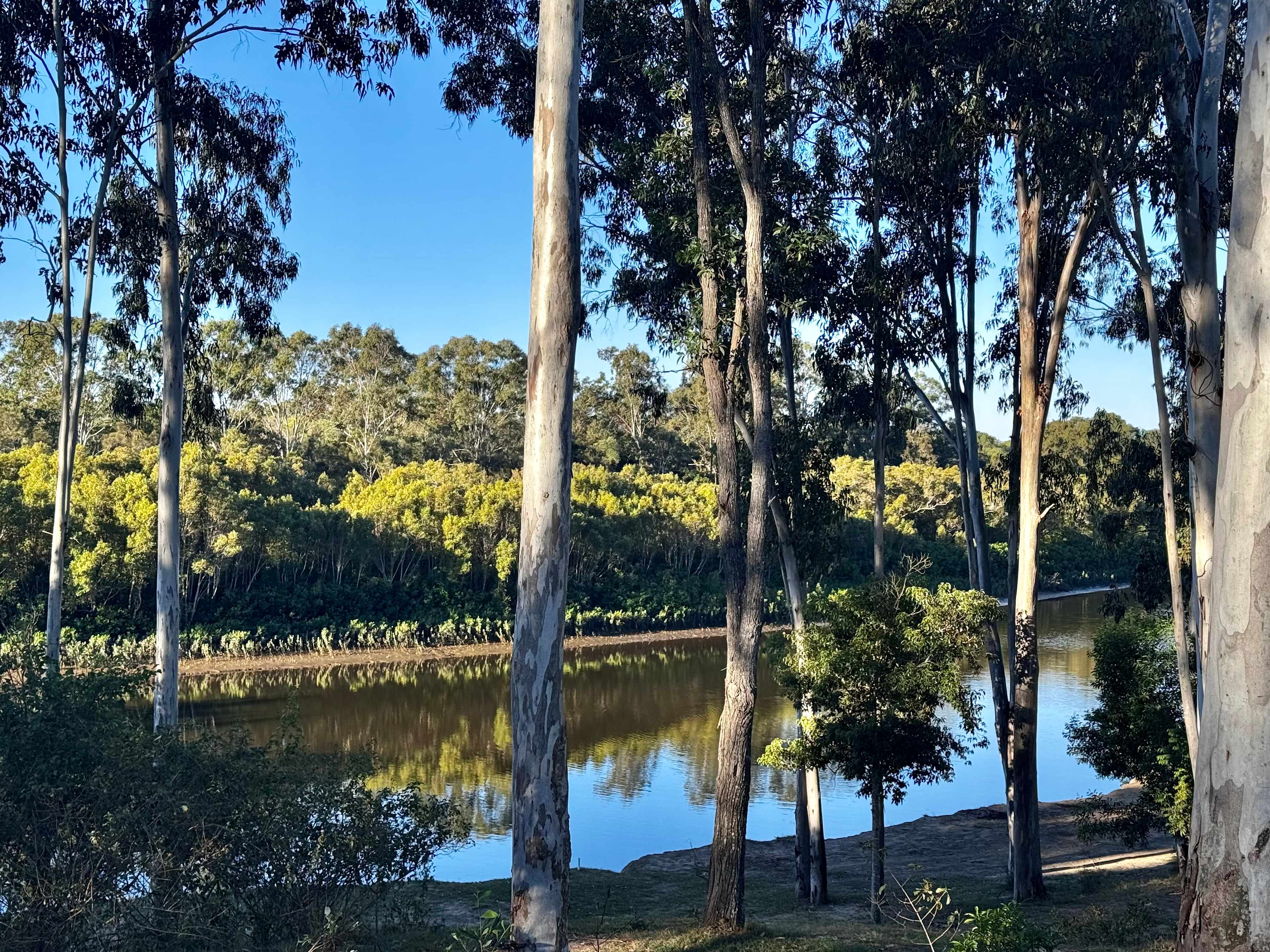 Peaceful Riverside Camping