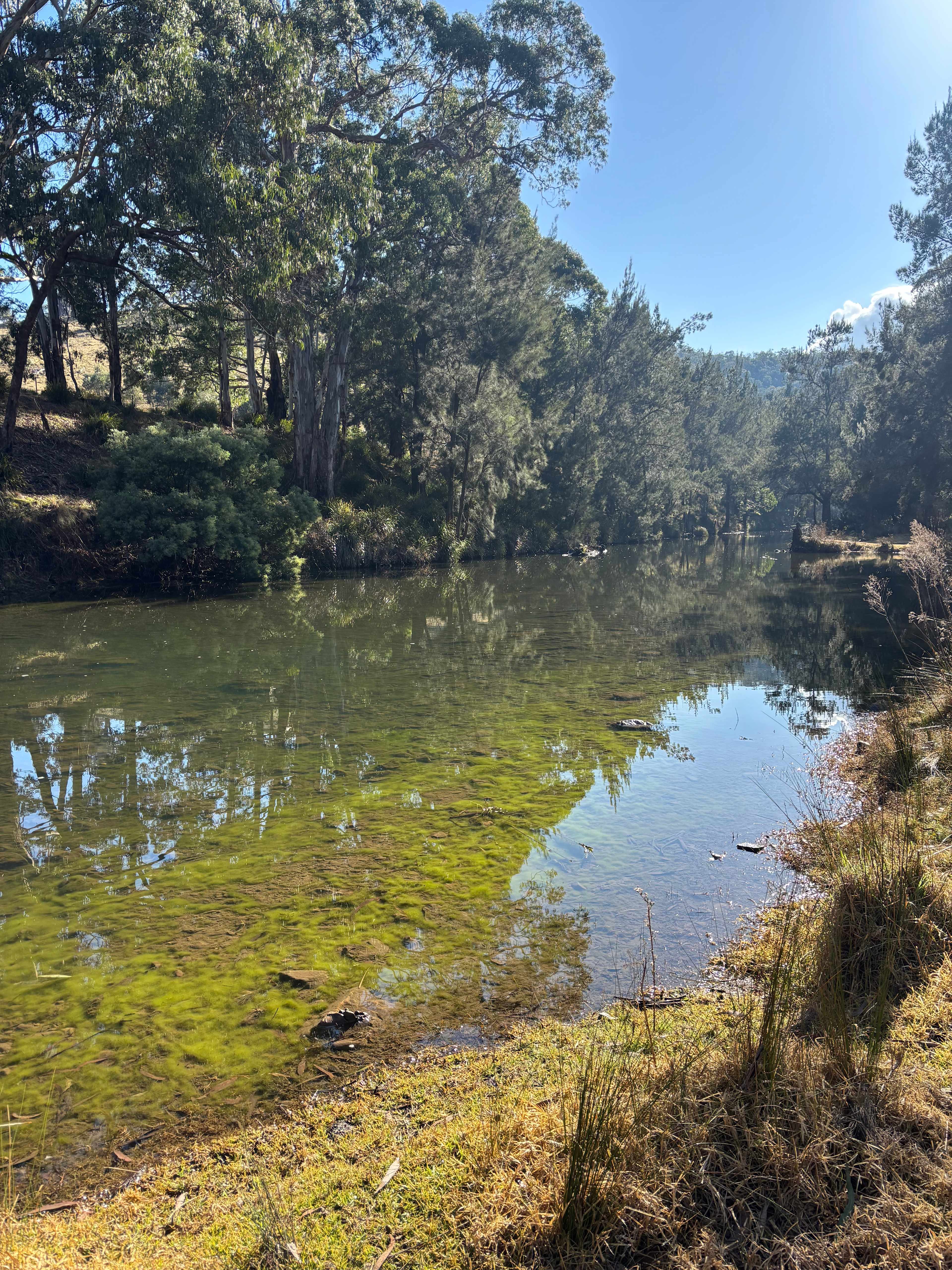 Riverside Camping, Glamping, Cabins