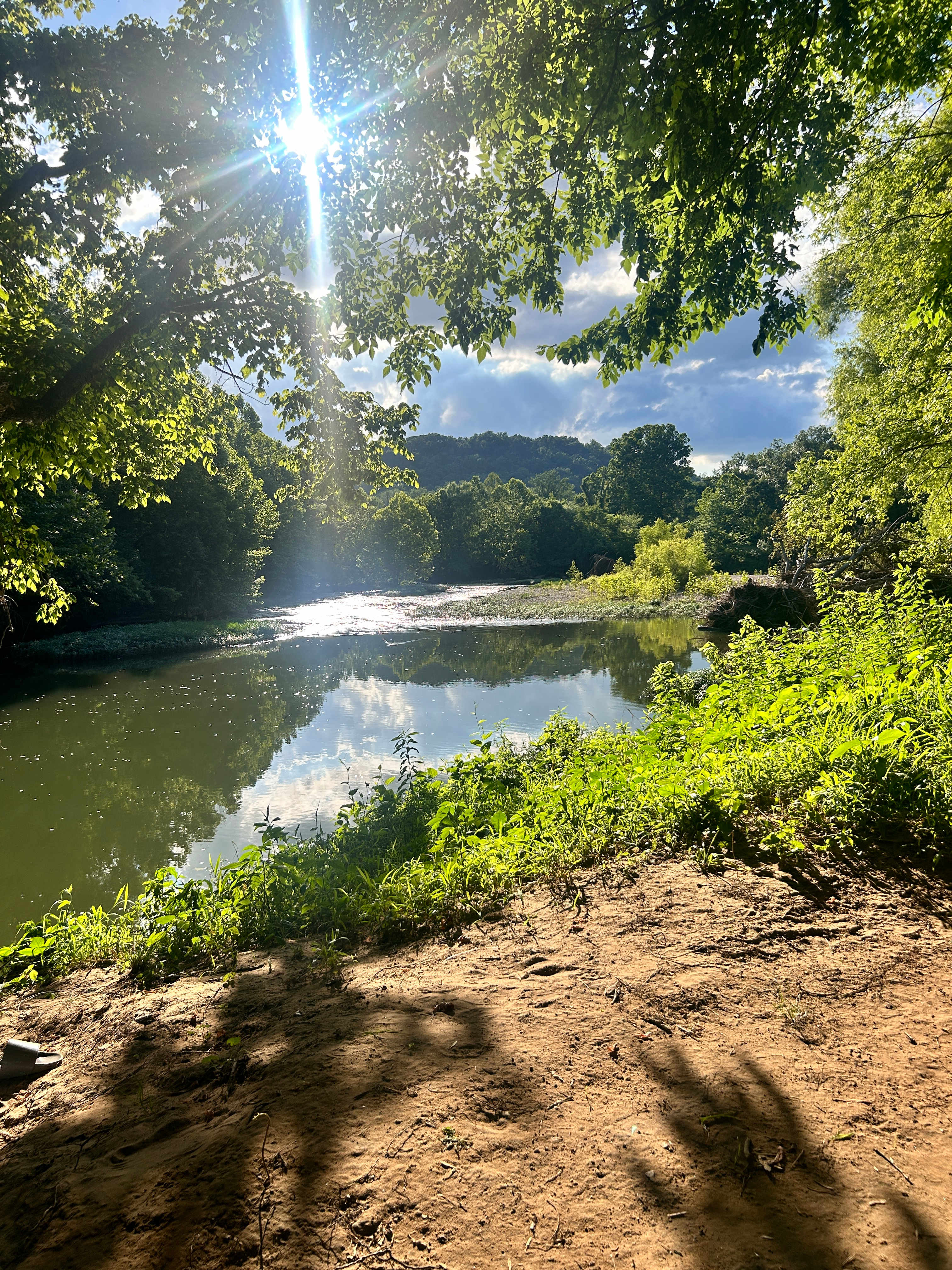 Illinois River Paradise | 60 Acres