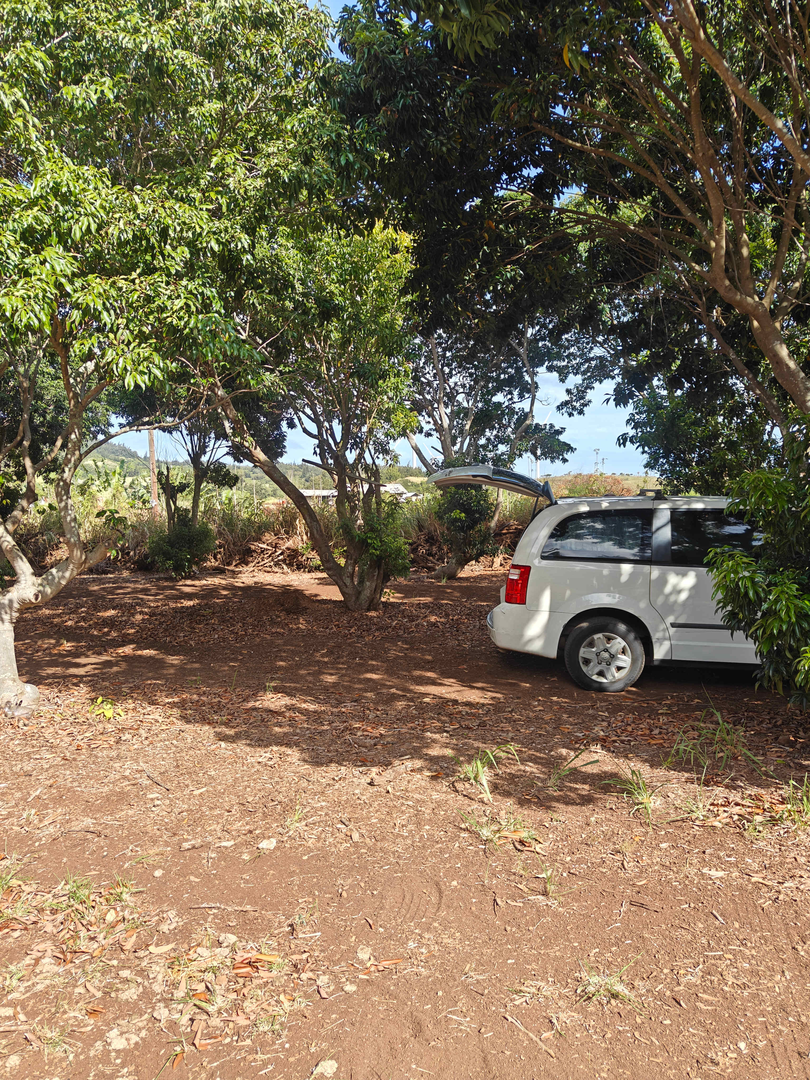 Charming Kahuku camp