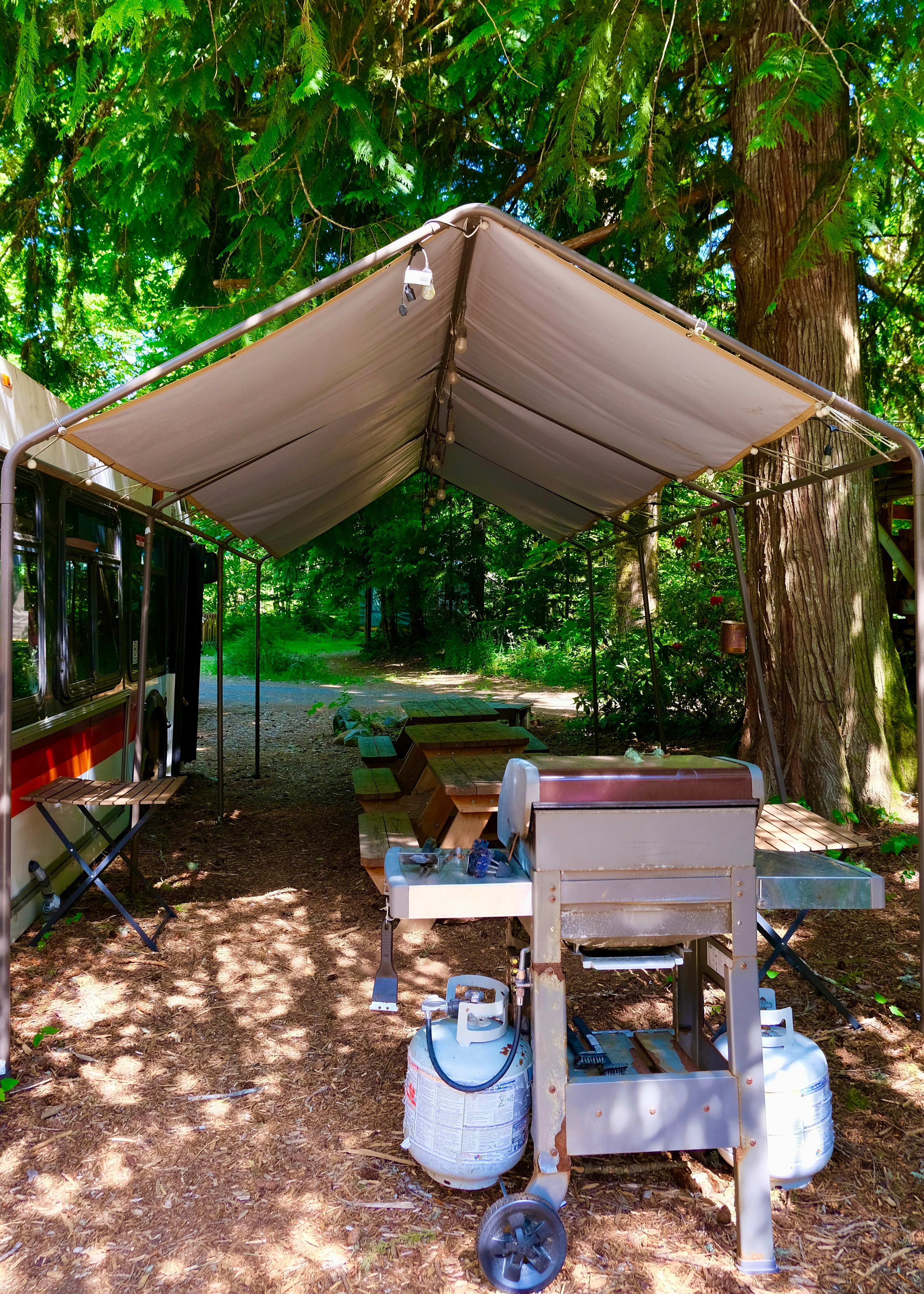 Grill and picnic area just steps from the Trimet bus