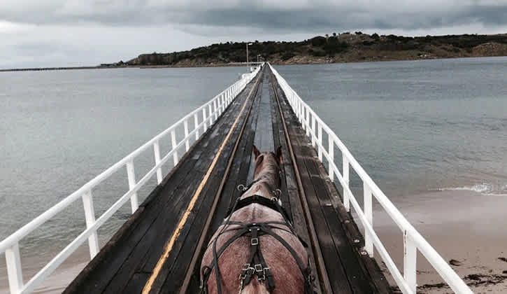 NRMA Victor Harbor Beachfront Holiday Park