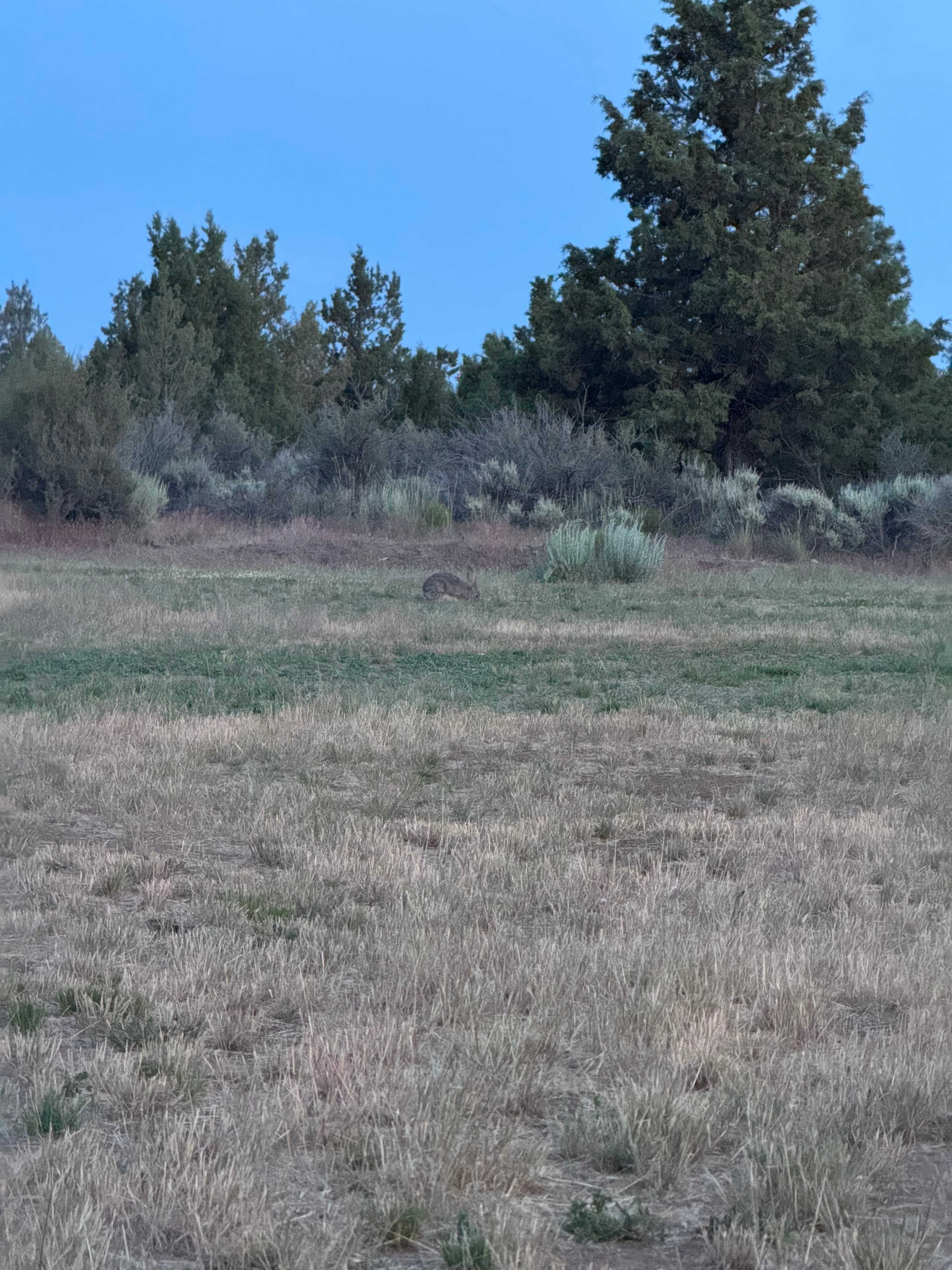 White Wolf Ranch