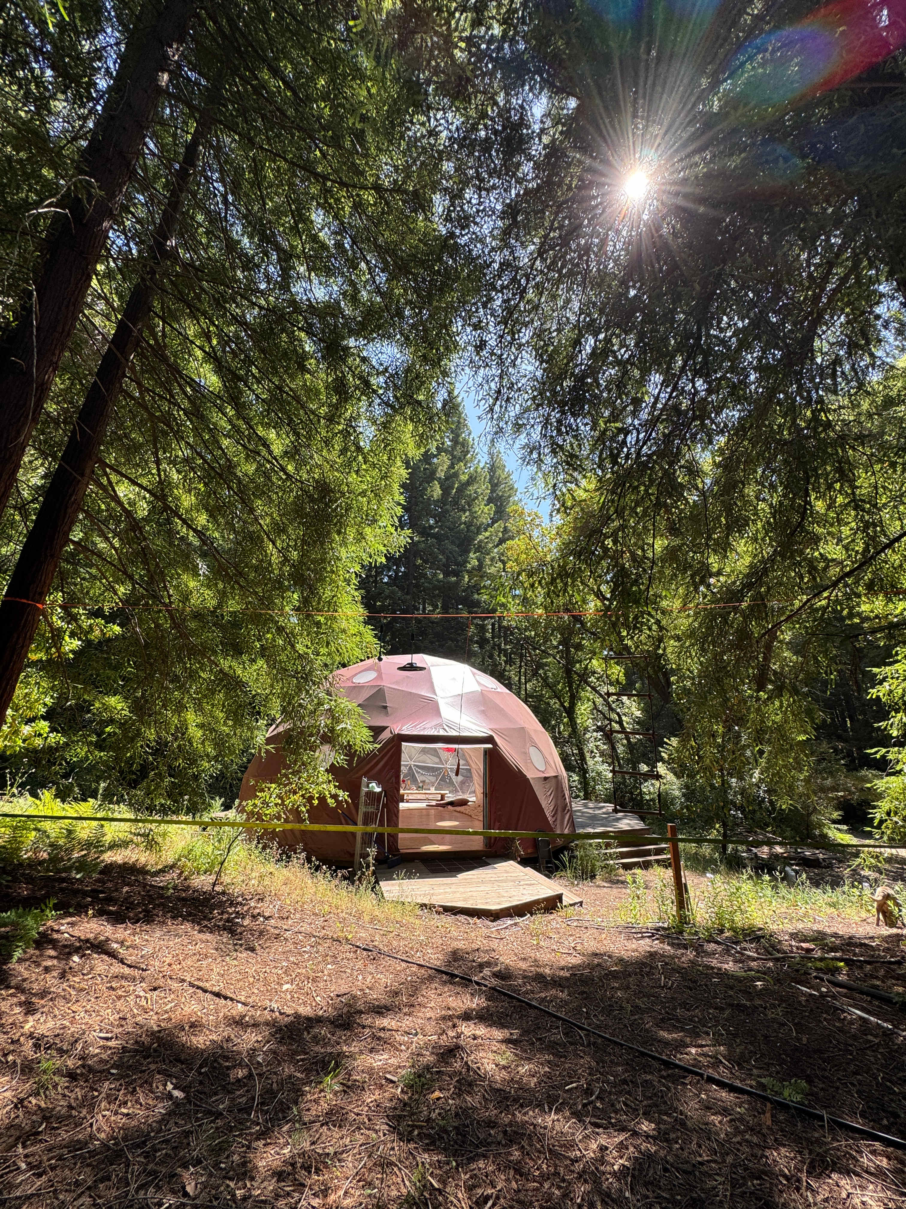 Private Sunny Redwoods Retreat