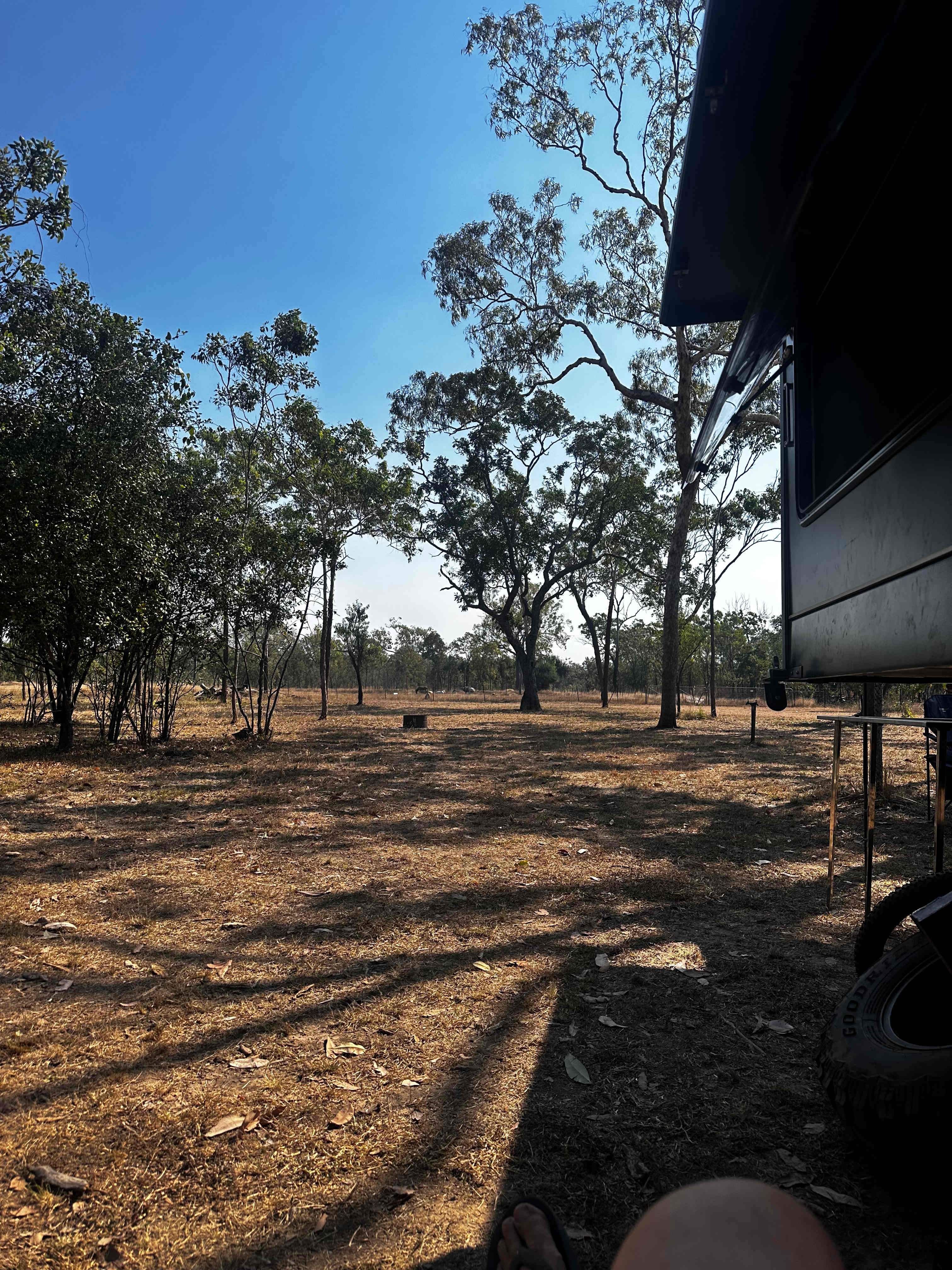 Berry Springs Labush Estate