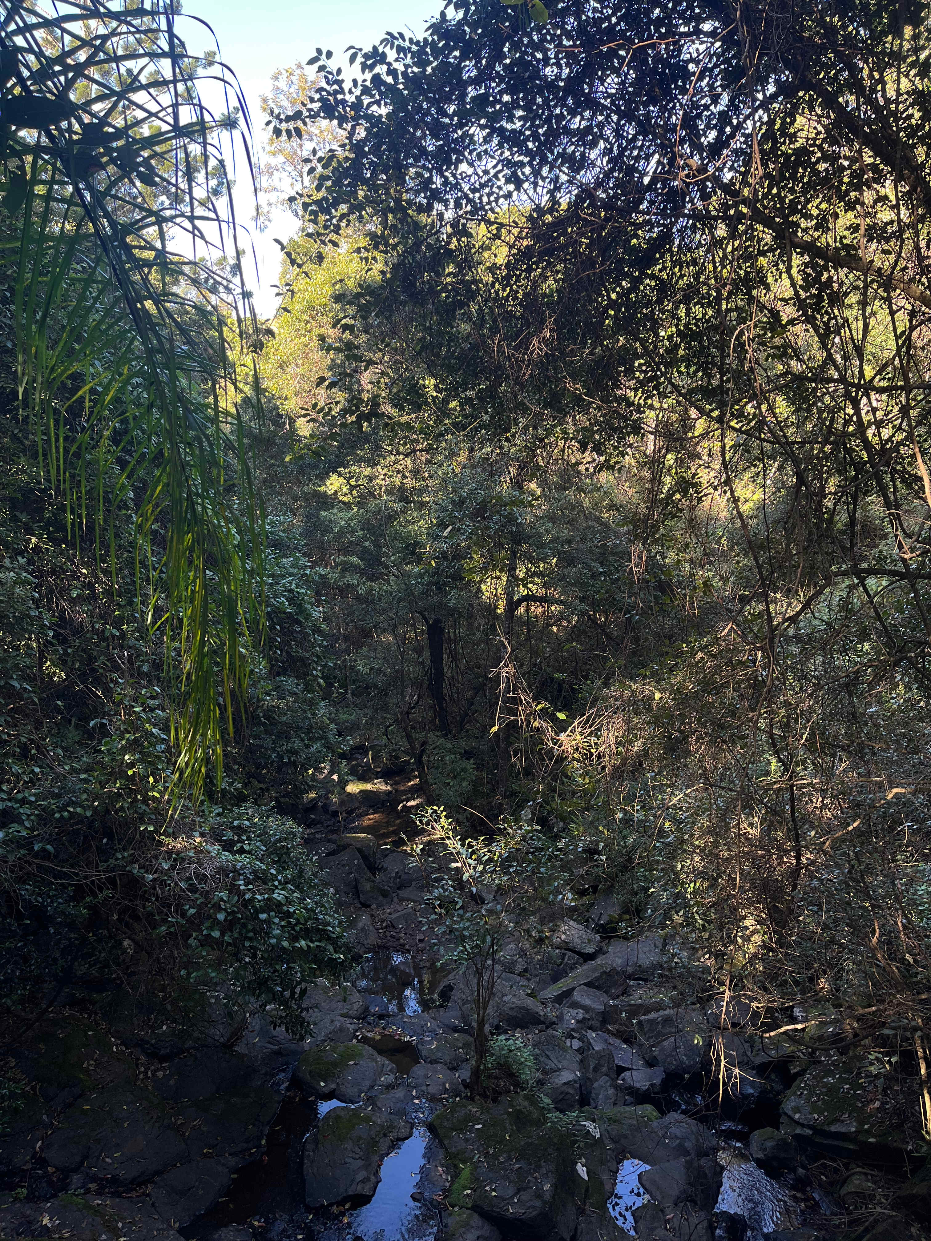 Oakey Ridge